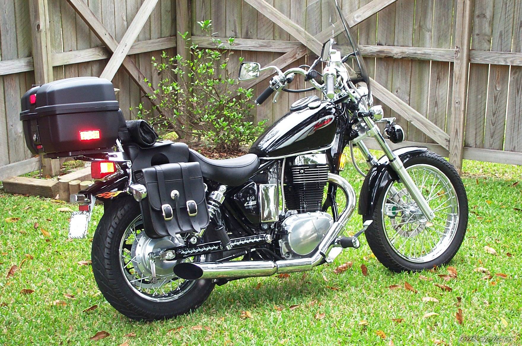 2002 SUZUKI SAVAGE | Picture 260316 motorcycle photo