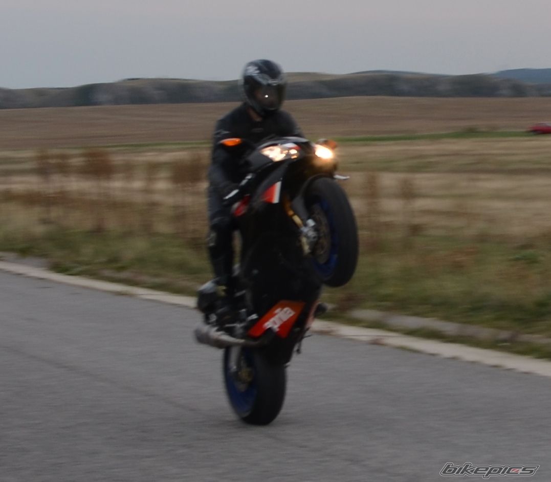 2004 APRILIA RSV MILLE FACTORY | Picture 2605105 motorcycle photo