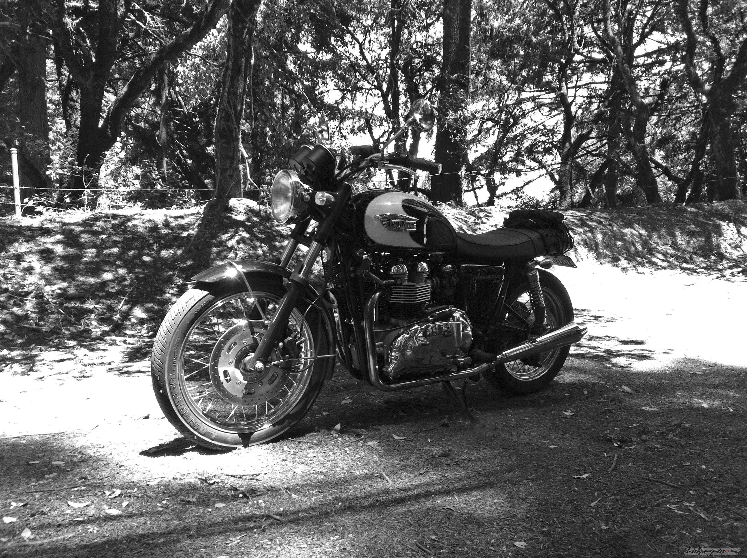 2008 TRIUMPH BONNEVILLE T100 | Picture 2605365 motorcycle photo