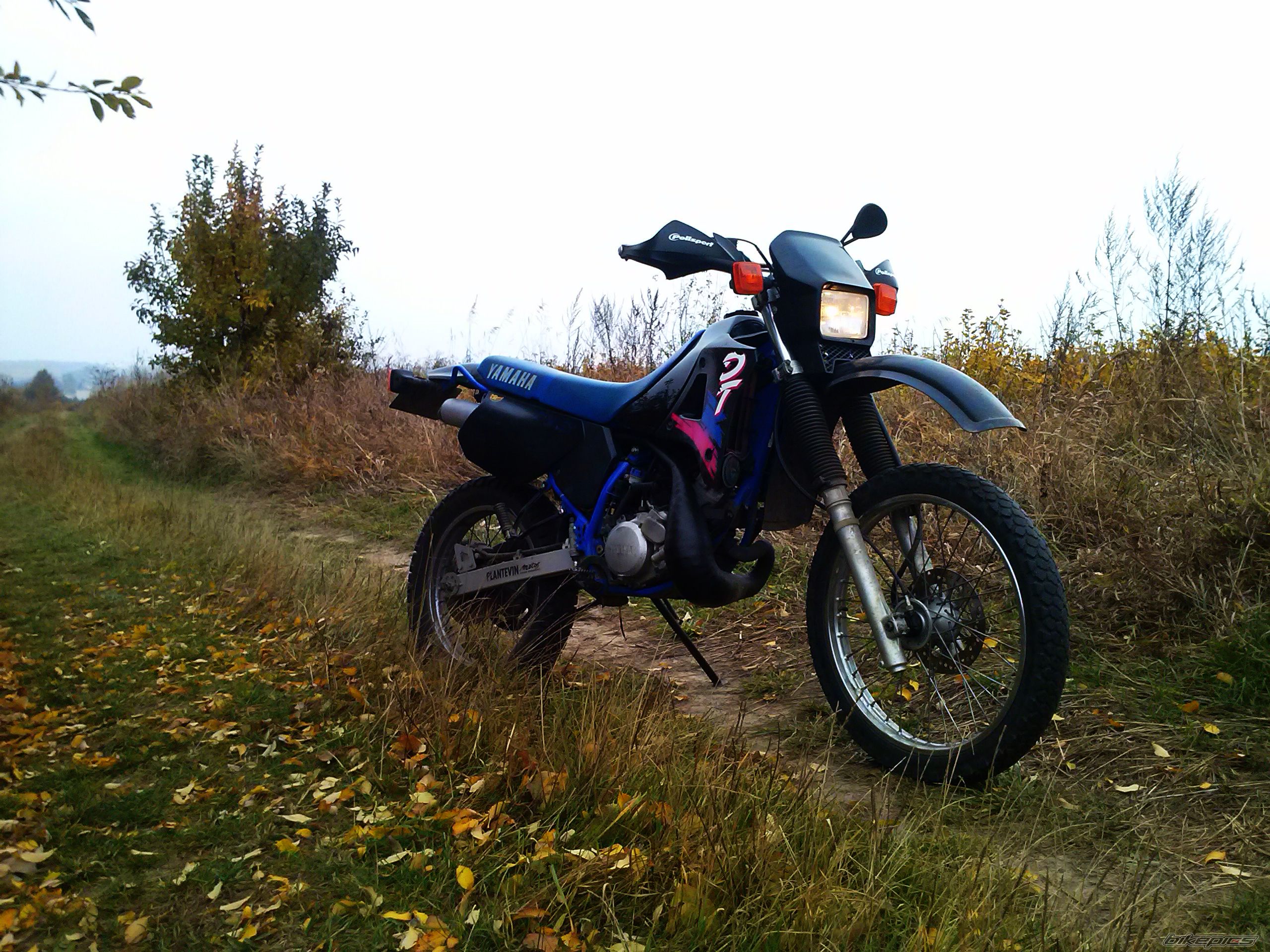 1998 YAMAHA DT 125 | Picture 2605601 motorcycle photo