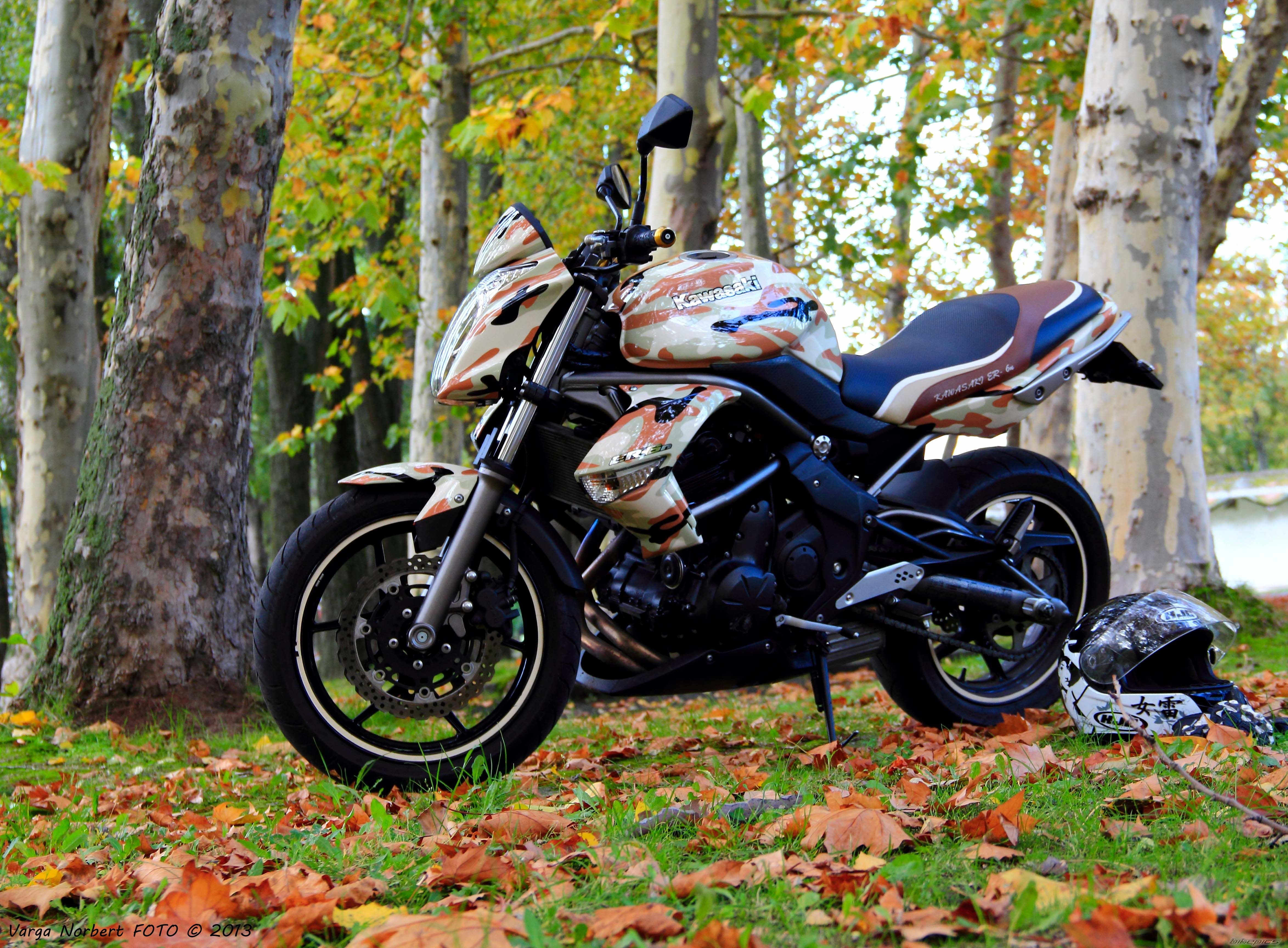 2009 KAWASAKI ER 6N | Picture 2605648 motorcycle photo