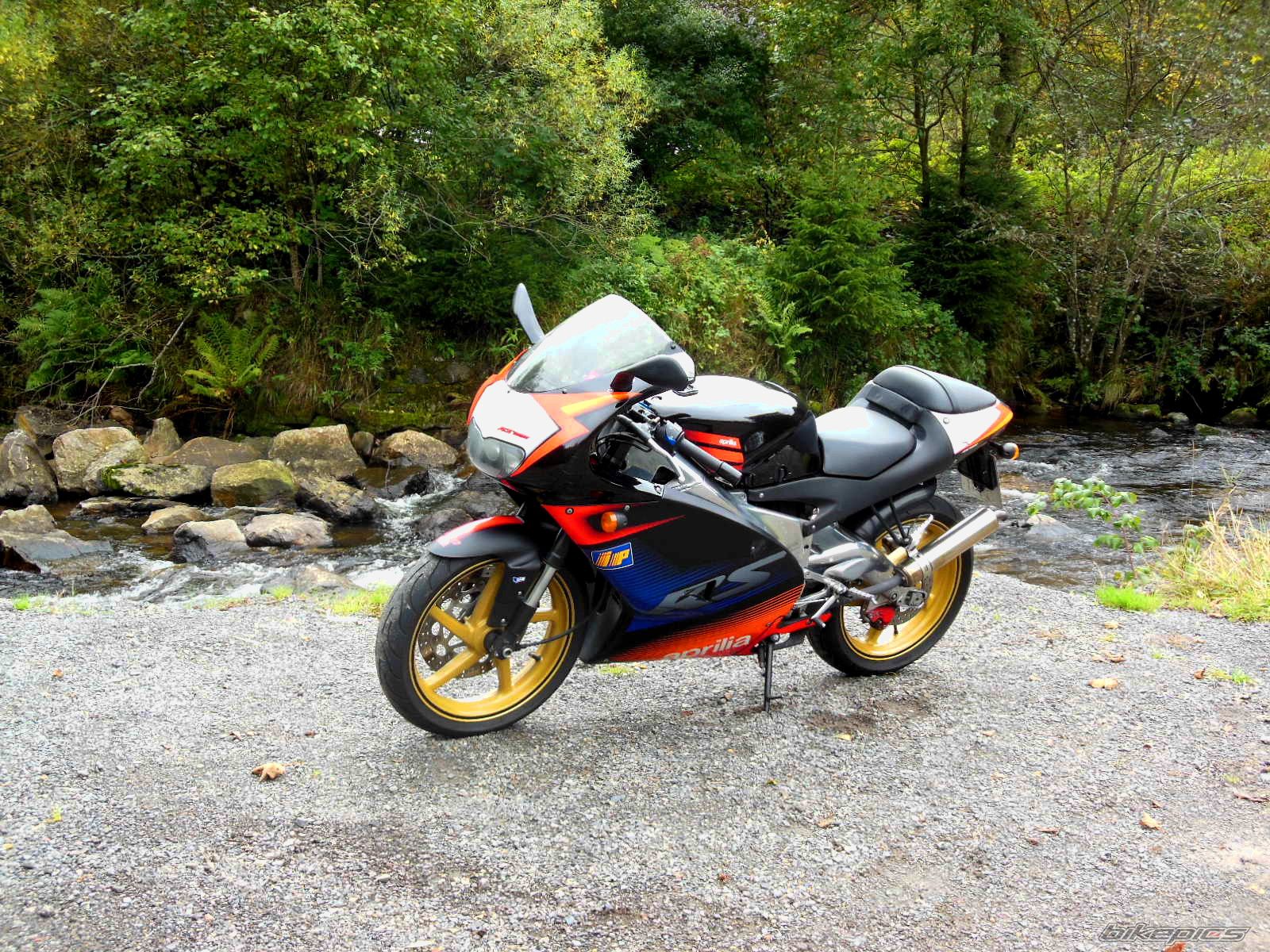 2003 APRILIA RS 125 | Picture 2606060 motorcycle photo
