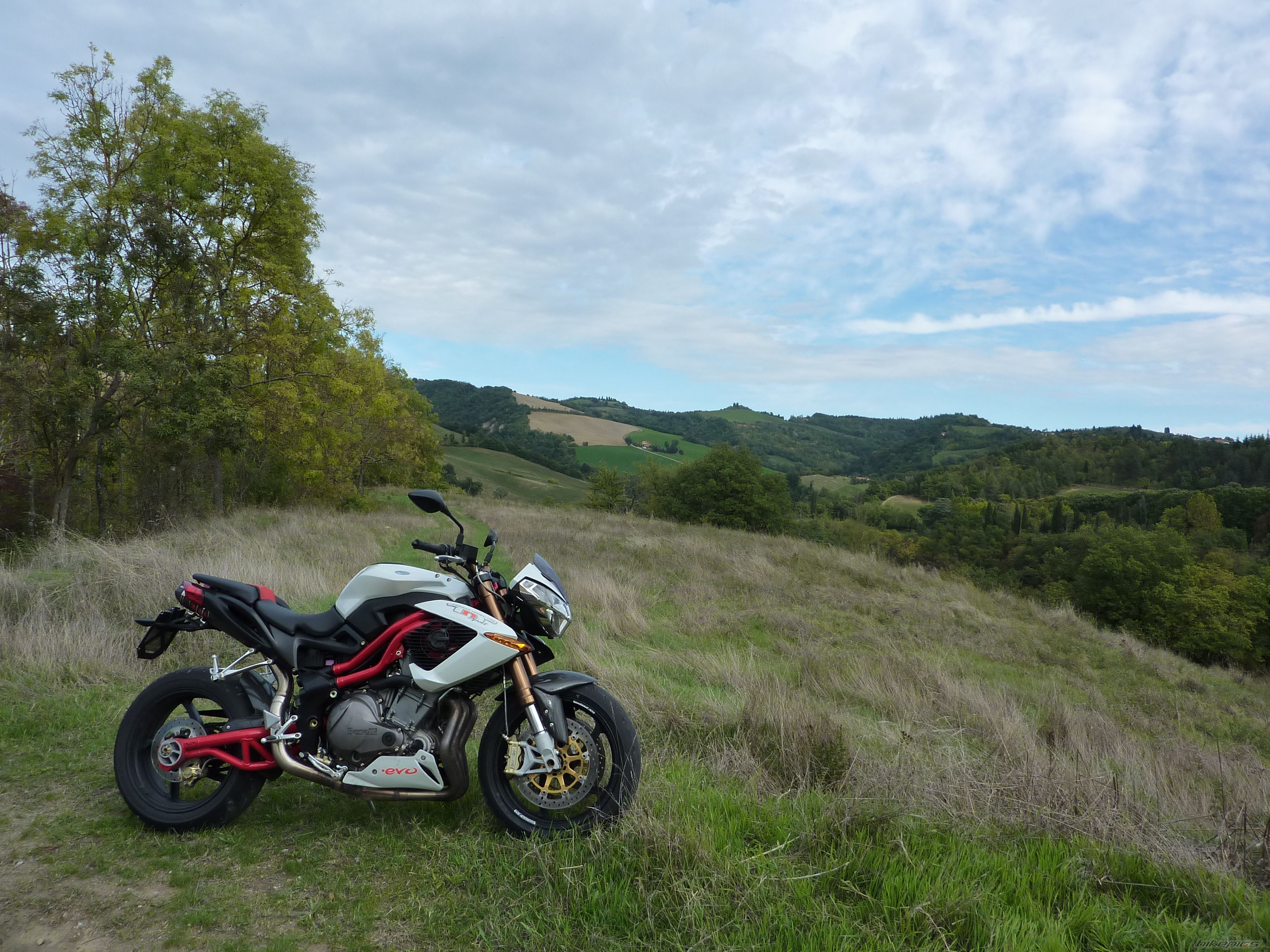 2008 BENELLI TNT SPORT EVO | Picture 2606066 motorcycle photo