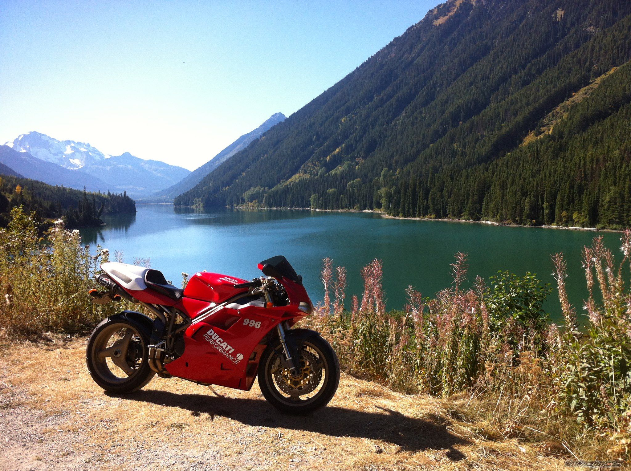1999 DUCATI 996 | Picture 2606522 motorcycle photo