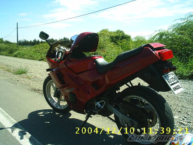 1991 SUZUKI GSX 250 ACROSS | Picture 260723 motorcycle photo