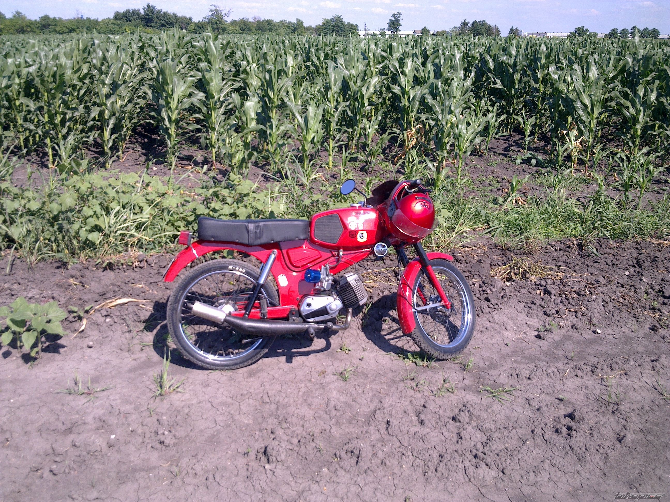 1977 TOMOS APN 4 | Picture 2607240 motorcycle photo