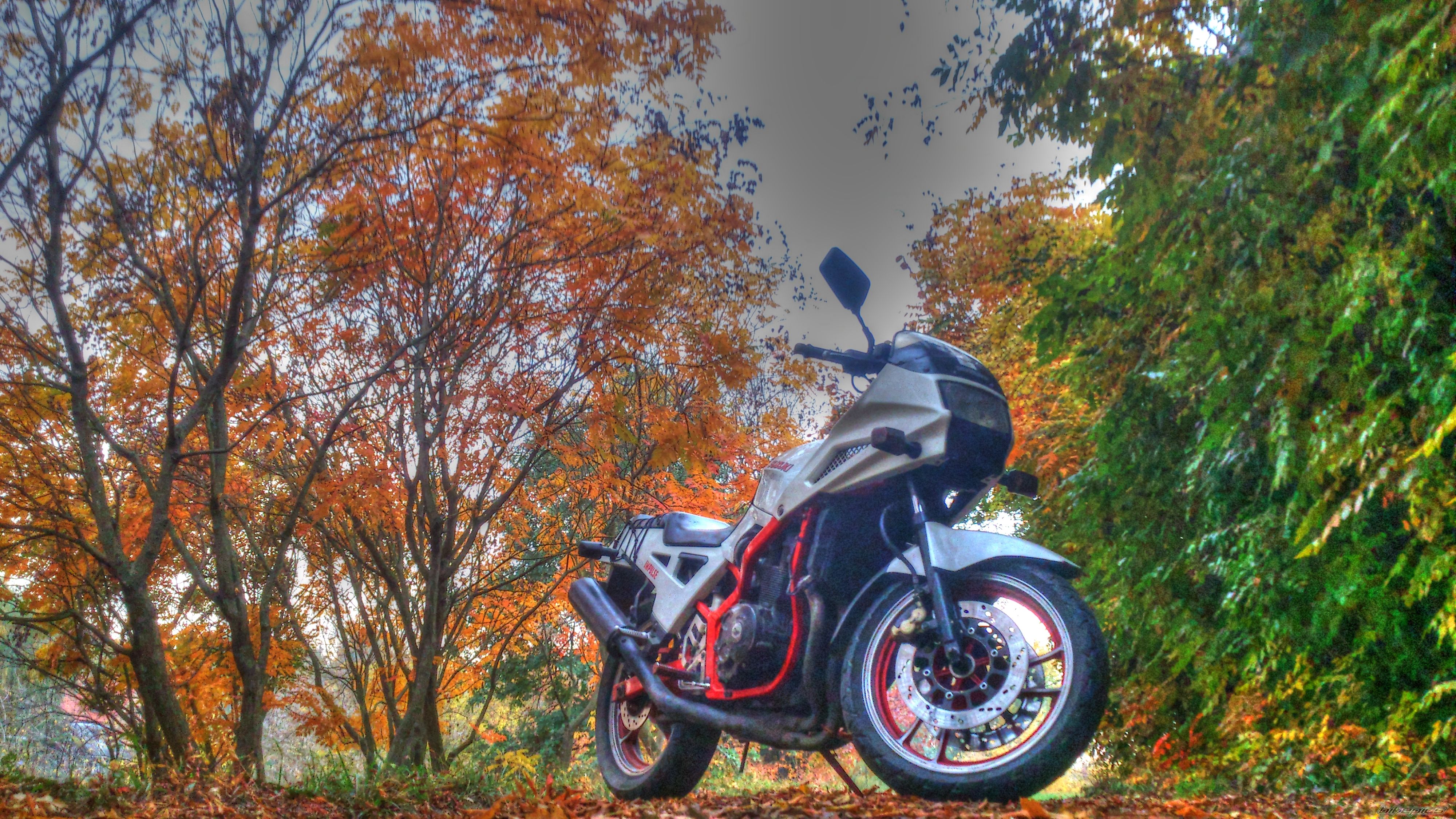 1986 SUZUKI GSX 400 X | Picture 2607535 motorcycle photo