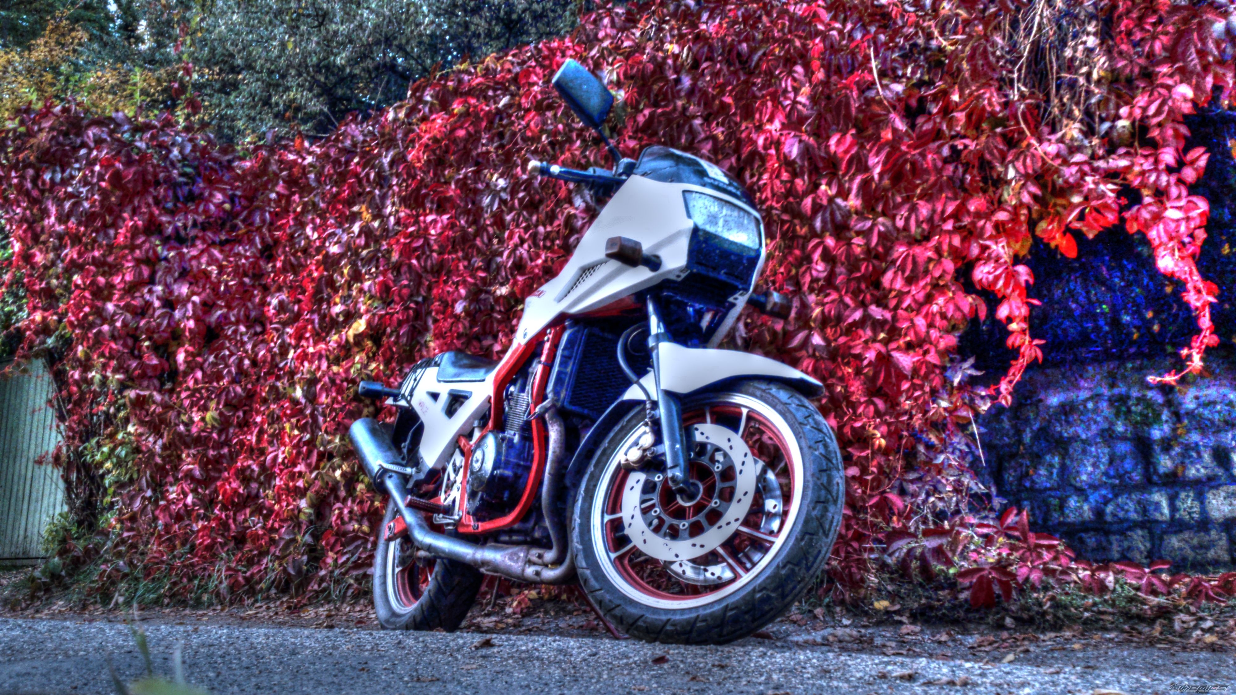 1986 SUZUKI GSX 400 X | Picture 2607536 motorcycle photo
