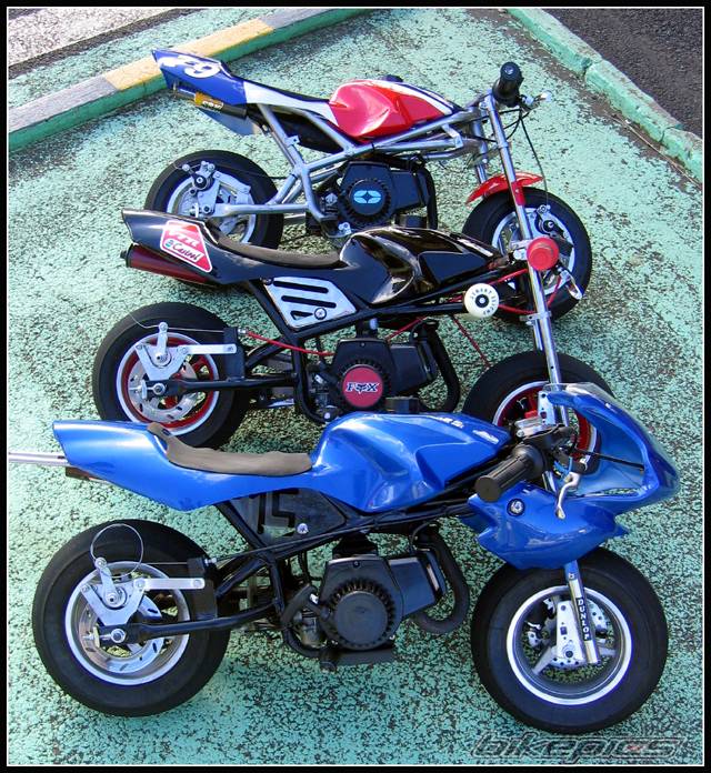 2004 POLINI MINI SM | Picture 260890 motorcycle photo