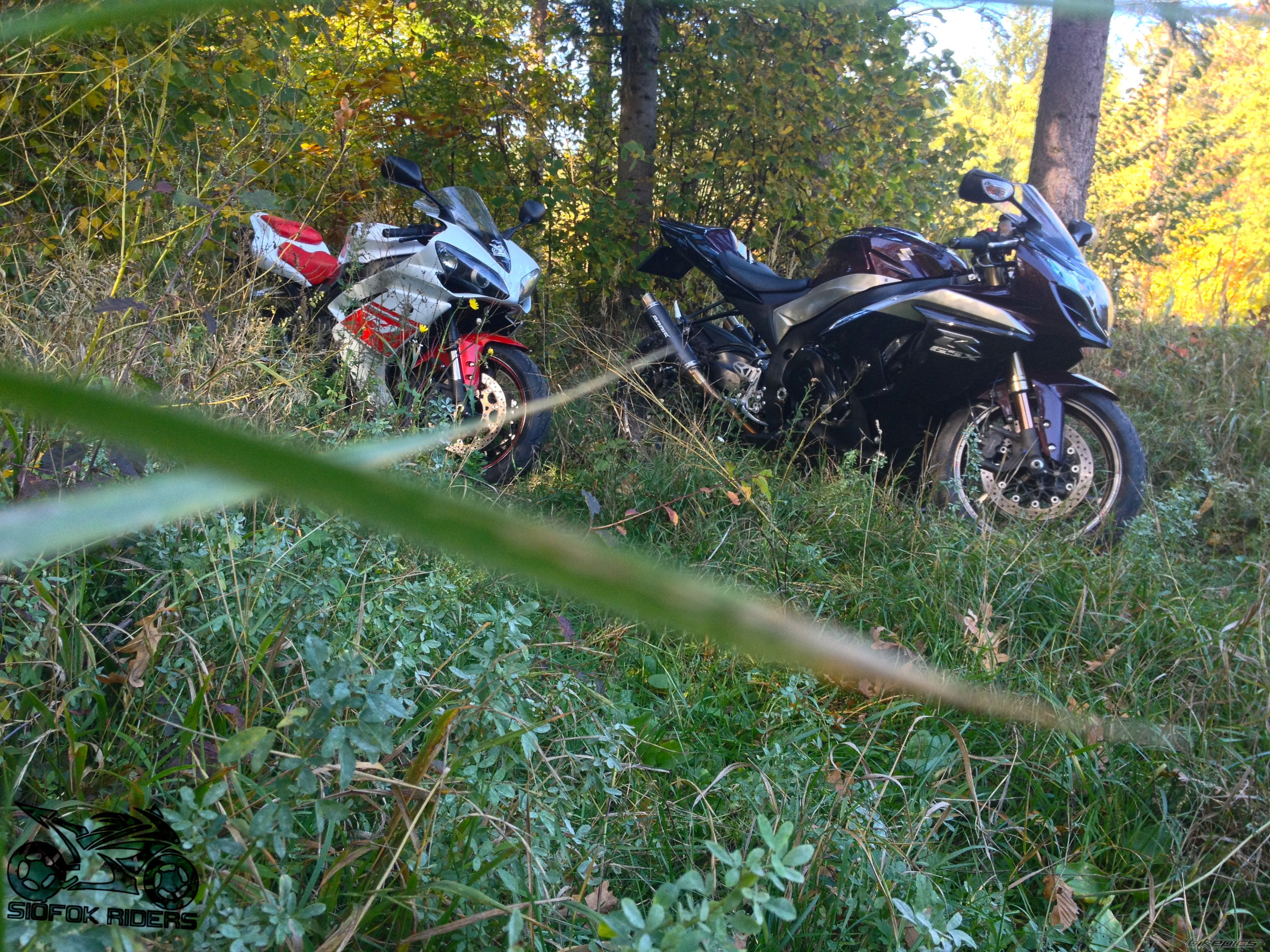2009 SUZUKI GSX R 1000 | Picture 2609205 motorcycle photo