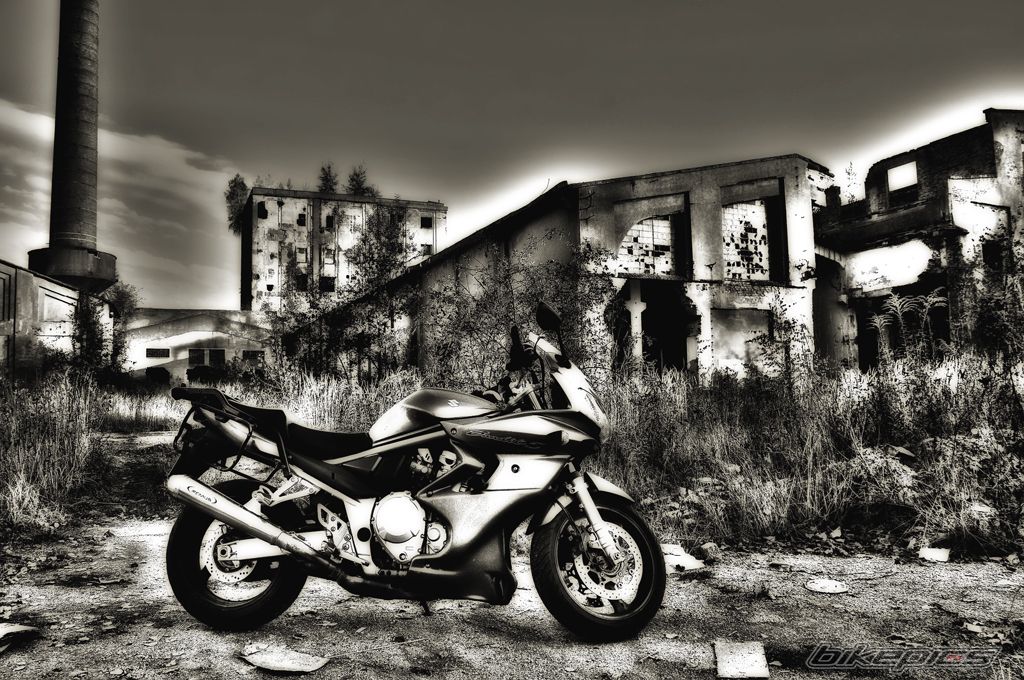 2009 SUZUKI BANDIT 1250S | Picture 2609412 motorcycle photo