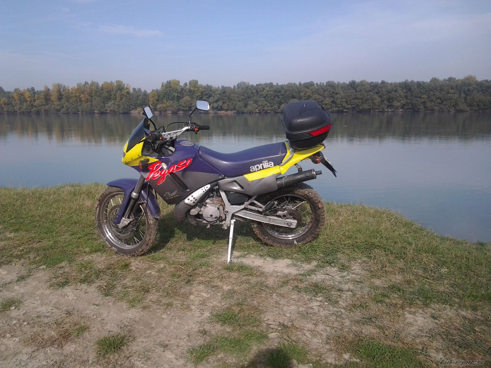 1996 APRILIA PEGASO 125 | Picture 2609476 motorcycle photo