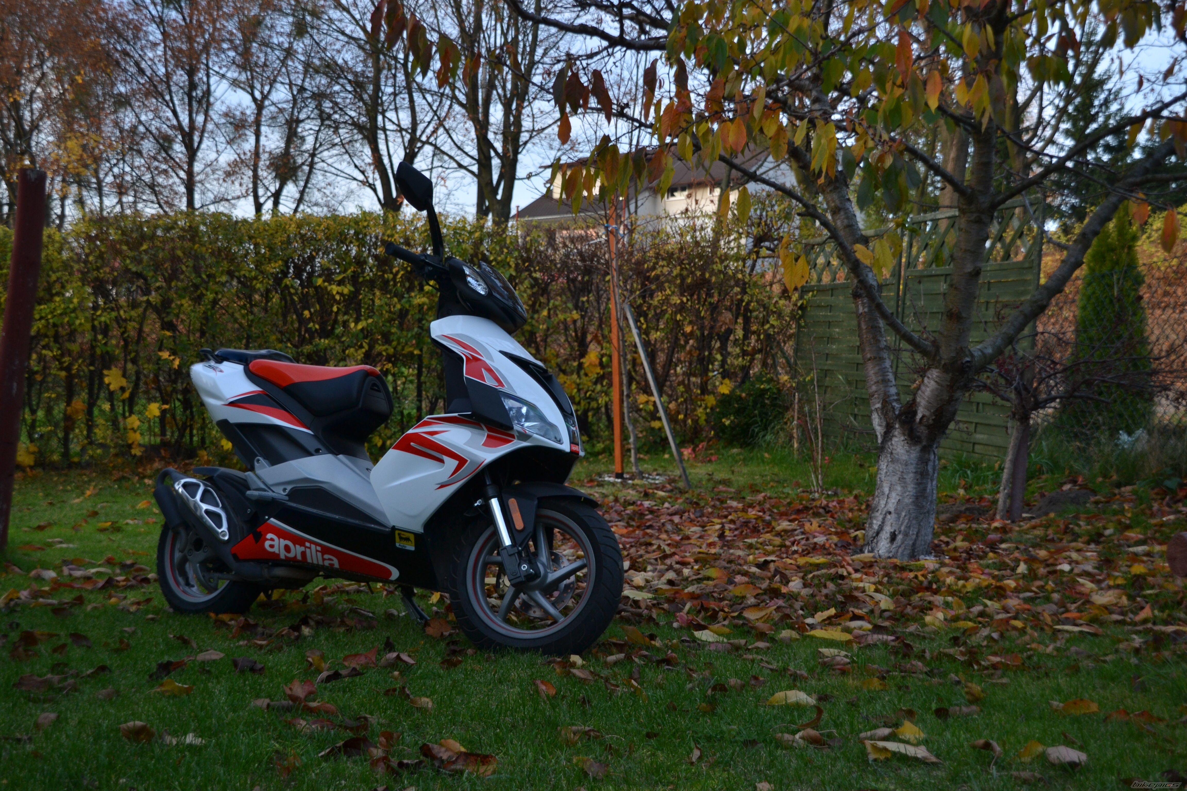 2009 APRILIA SR | Picture 2609640 motorcycle photo