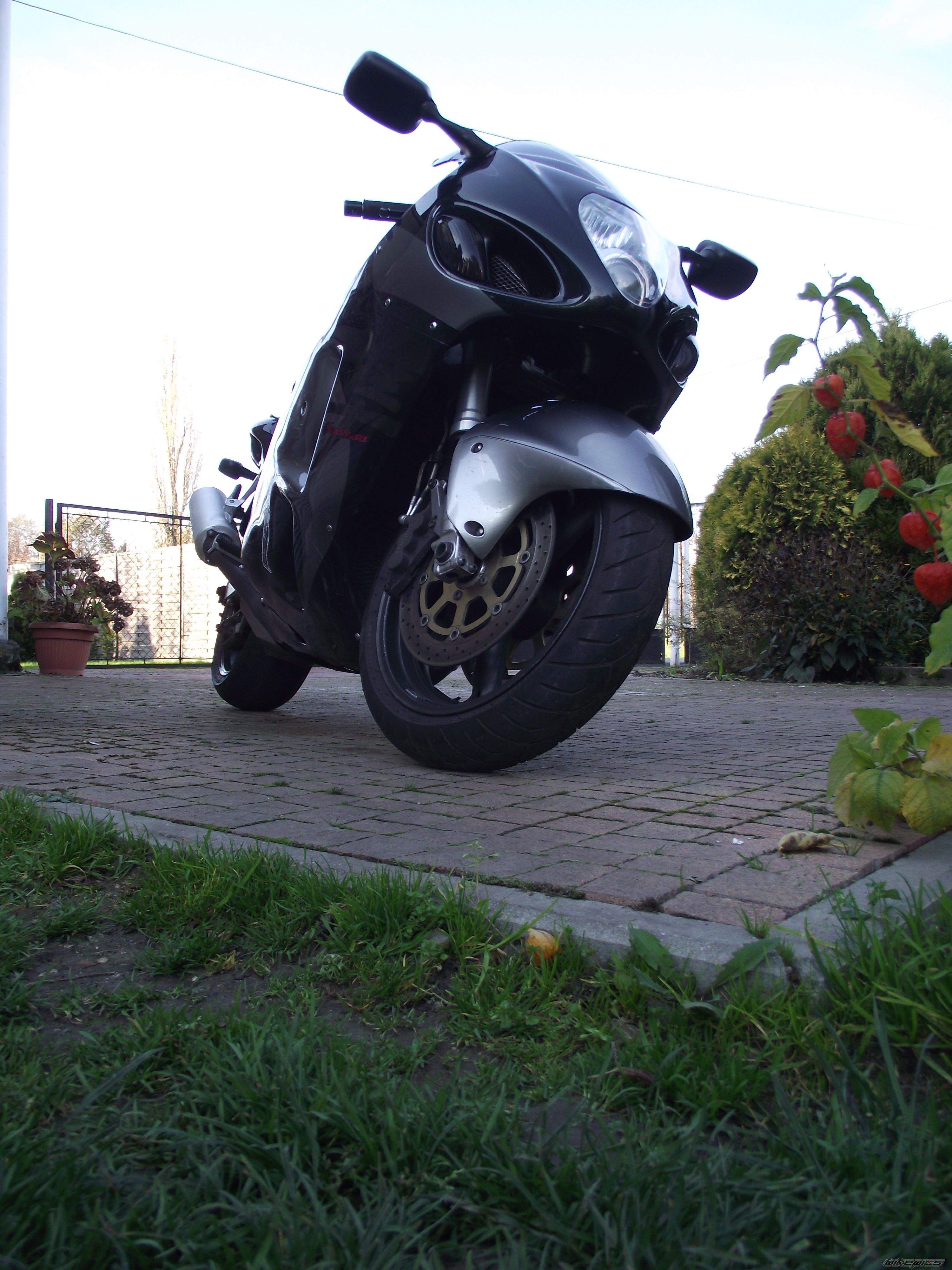 2001 SUZUKI HAYABUSA | Picture 2609941 motorcycle photo
