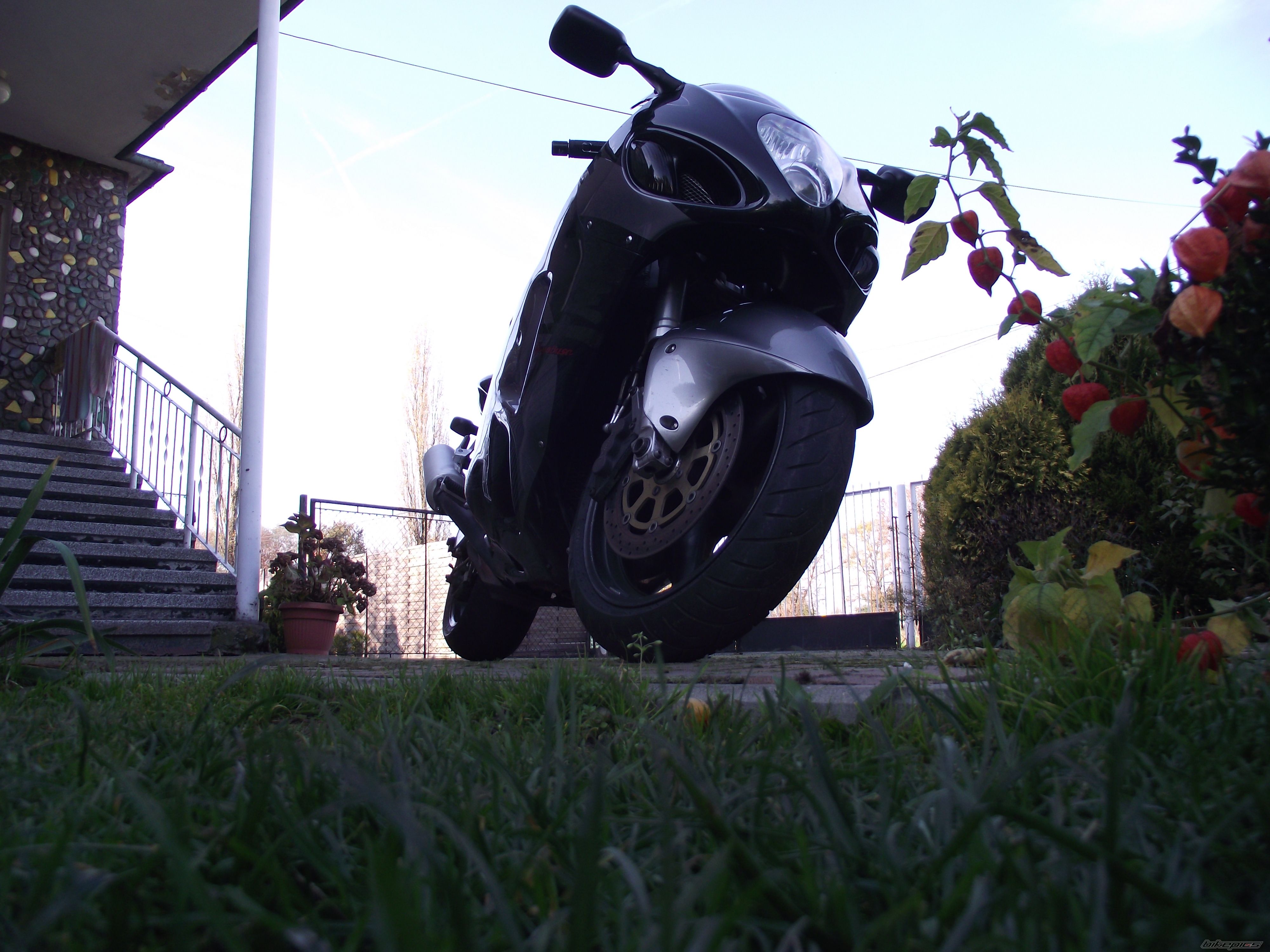 2001 SUZUKI HAYABUSA | Picture 2609943 motorcycle photo
