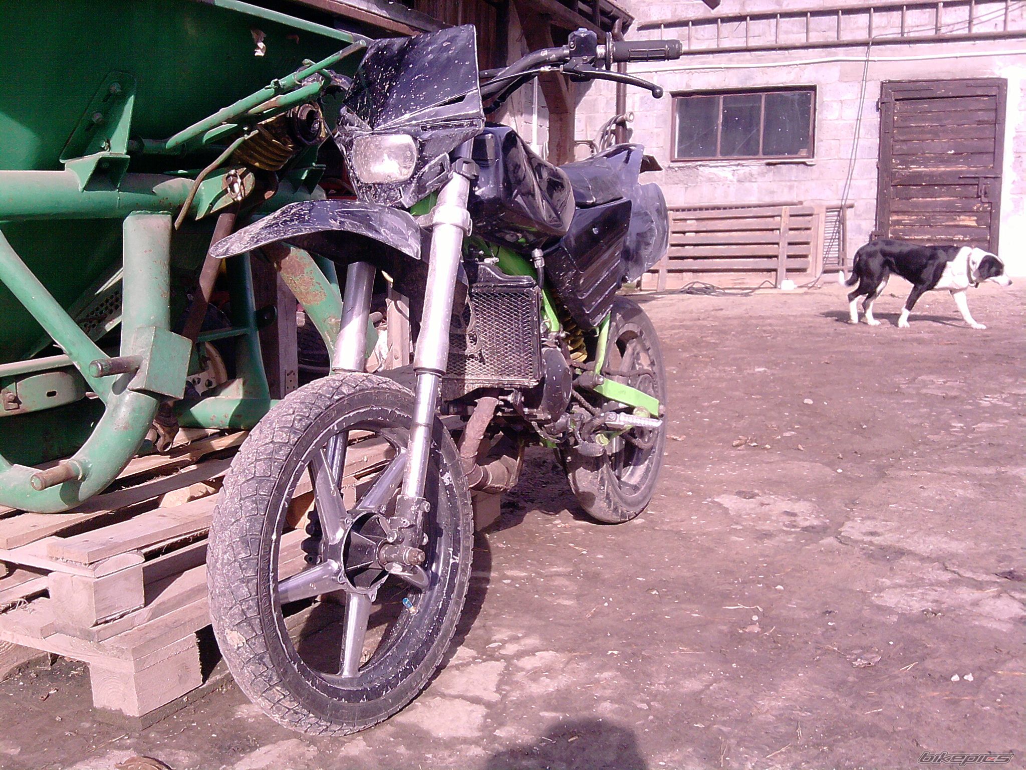    | Picture 2610036 motorcycle photo