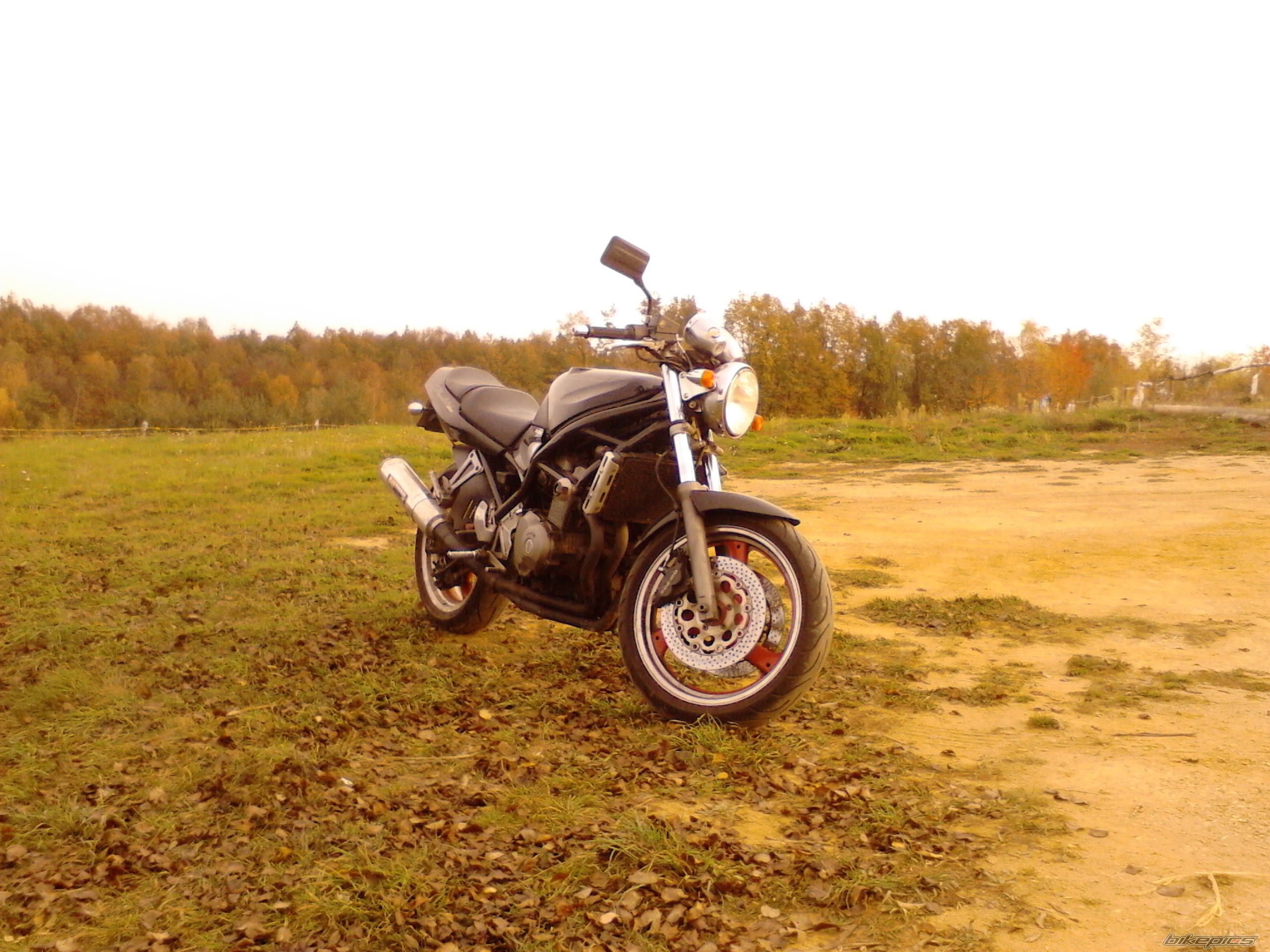 1989 SUZUKI BANDIT 400 | Picture 2610457 motorcycle photo