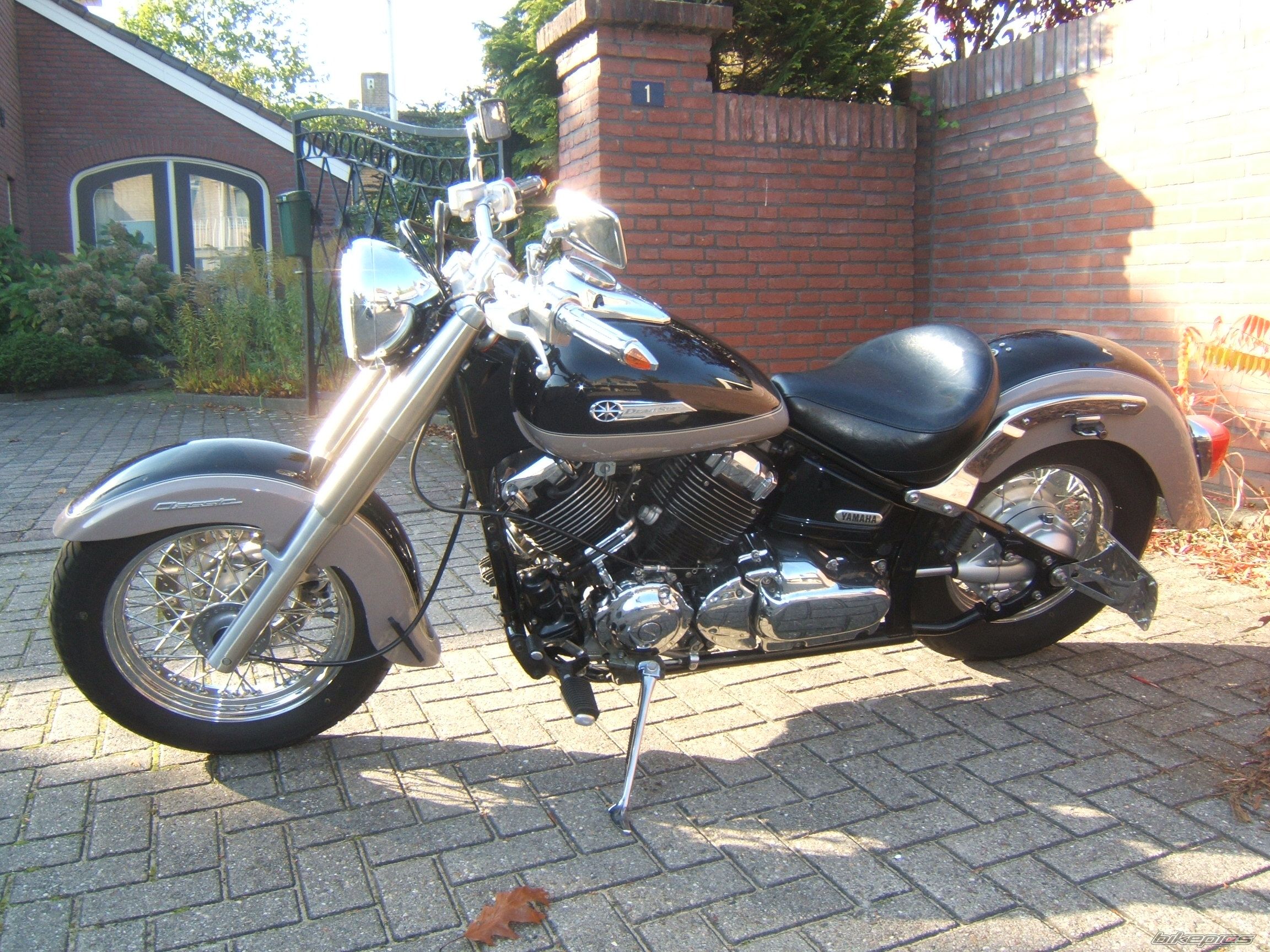 1998 YAMAHA XVS 650 DRAG STAR CLASSIC | Picture 2610543 motorcycle photo