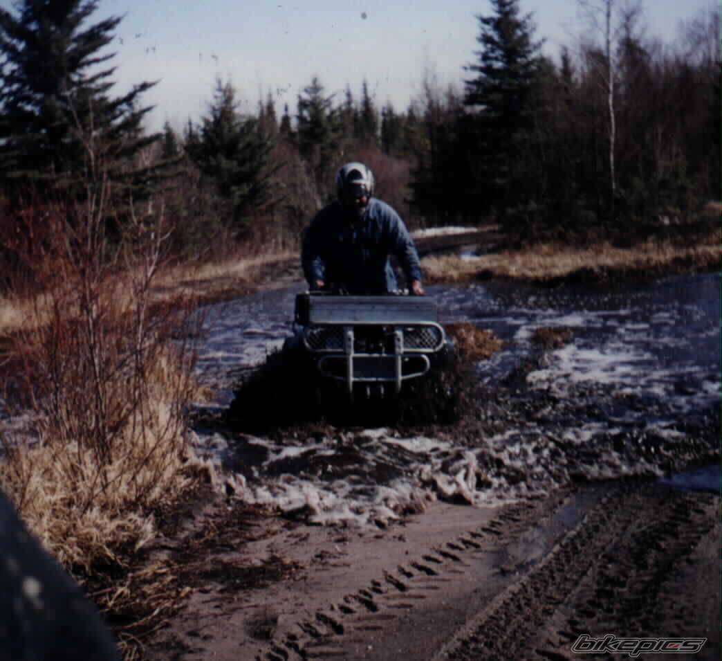 2002 YAMAHA KODIAK | Picture 261055 motorcycle photo