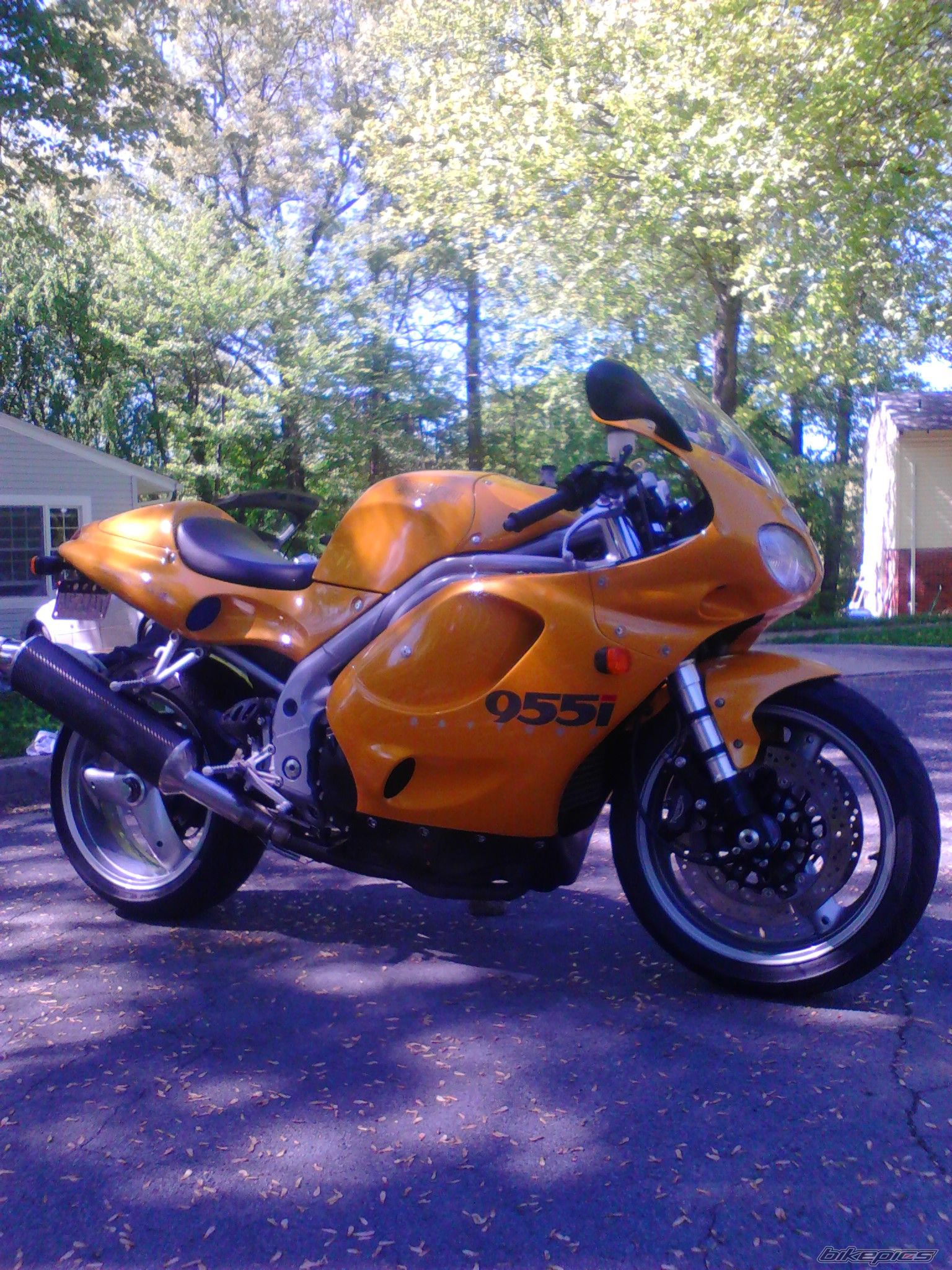 2001 TRIUMPH DAYTONA 955I | Picture 2610574 motorcycle photo