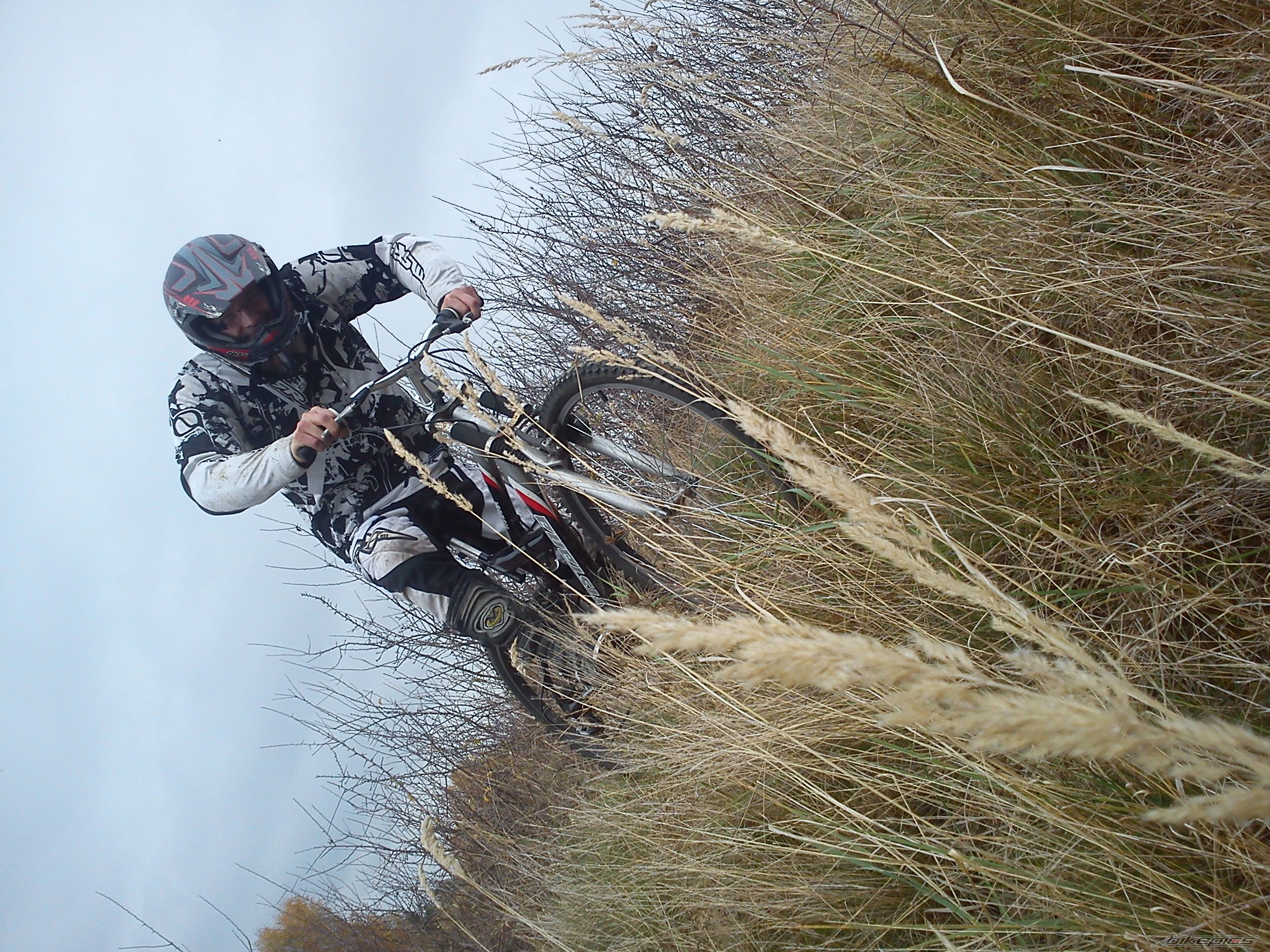 2002 KTM 400 EXC | Picture 2610666 motorcycle photo