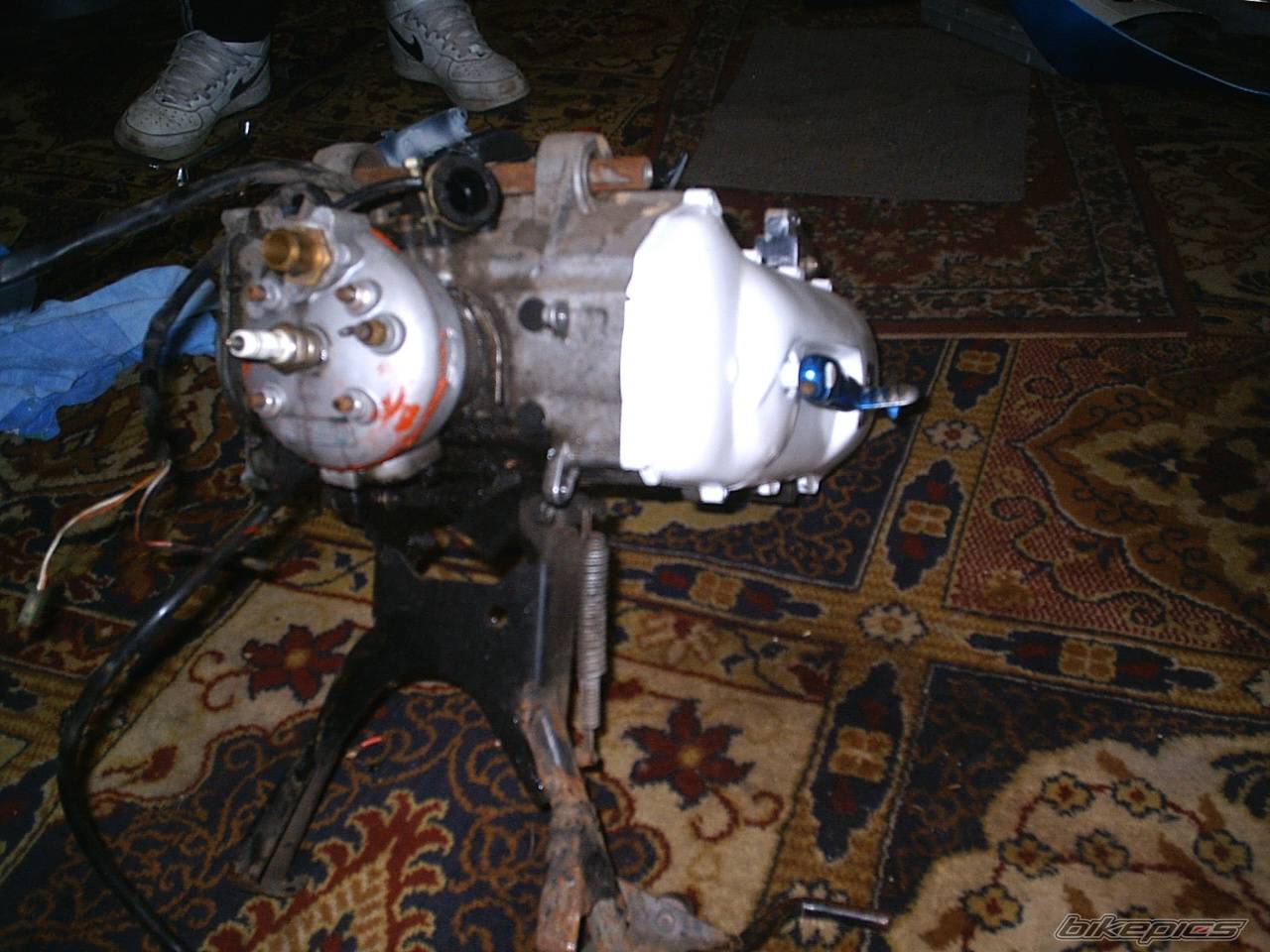 1993 APRILIA SR 50 | Picture 261123 motorcycle photo