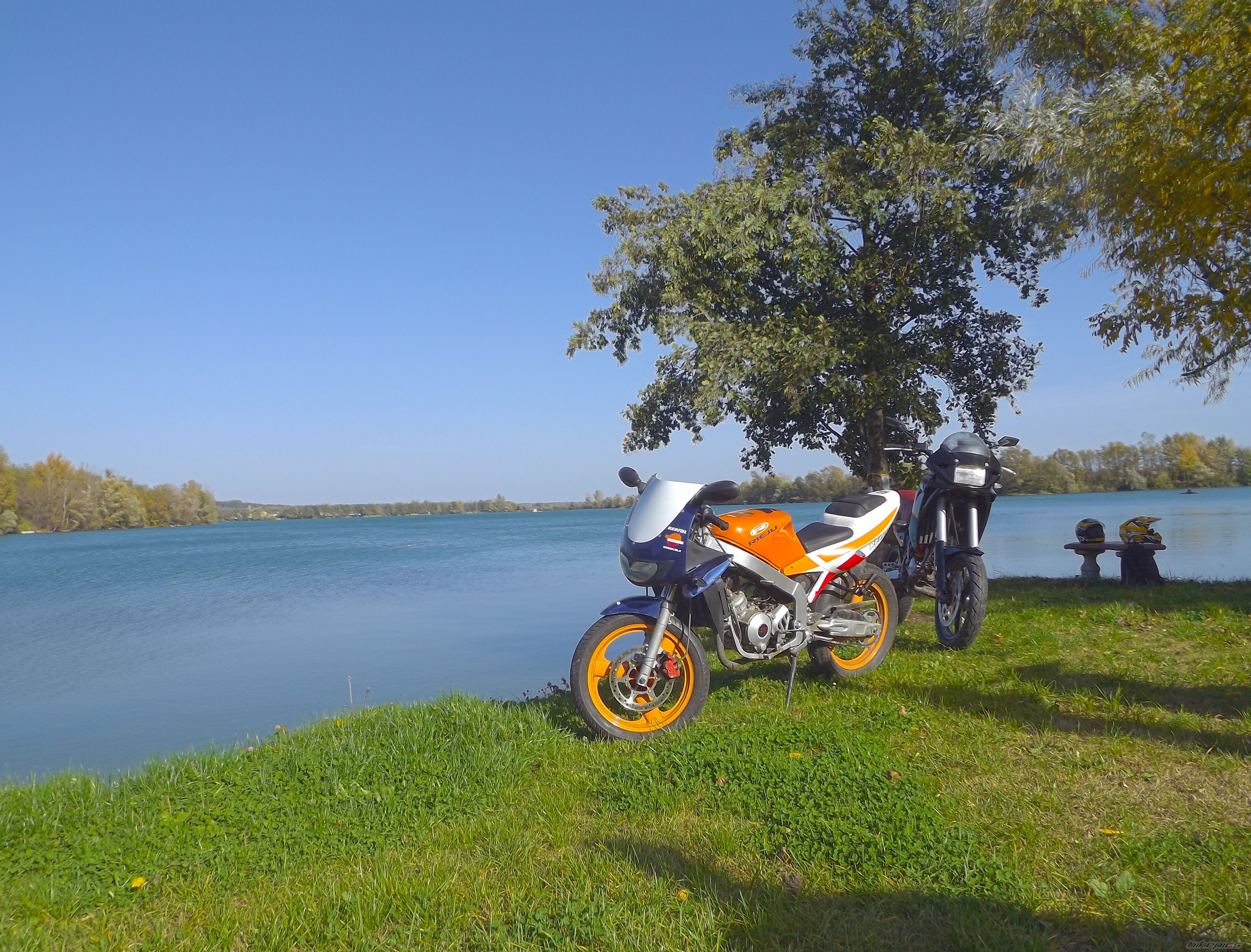2002 RIEJU RS1 | Picture 2611316 motorcycle photo