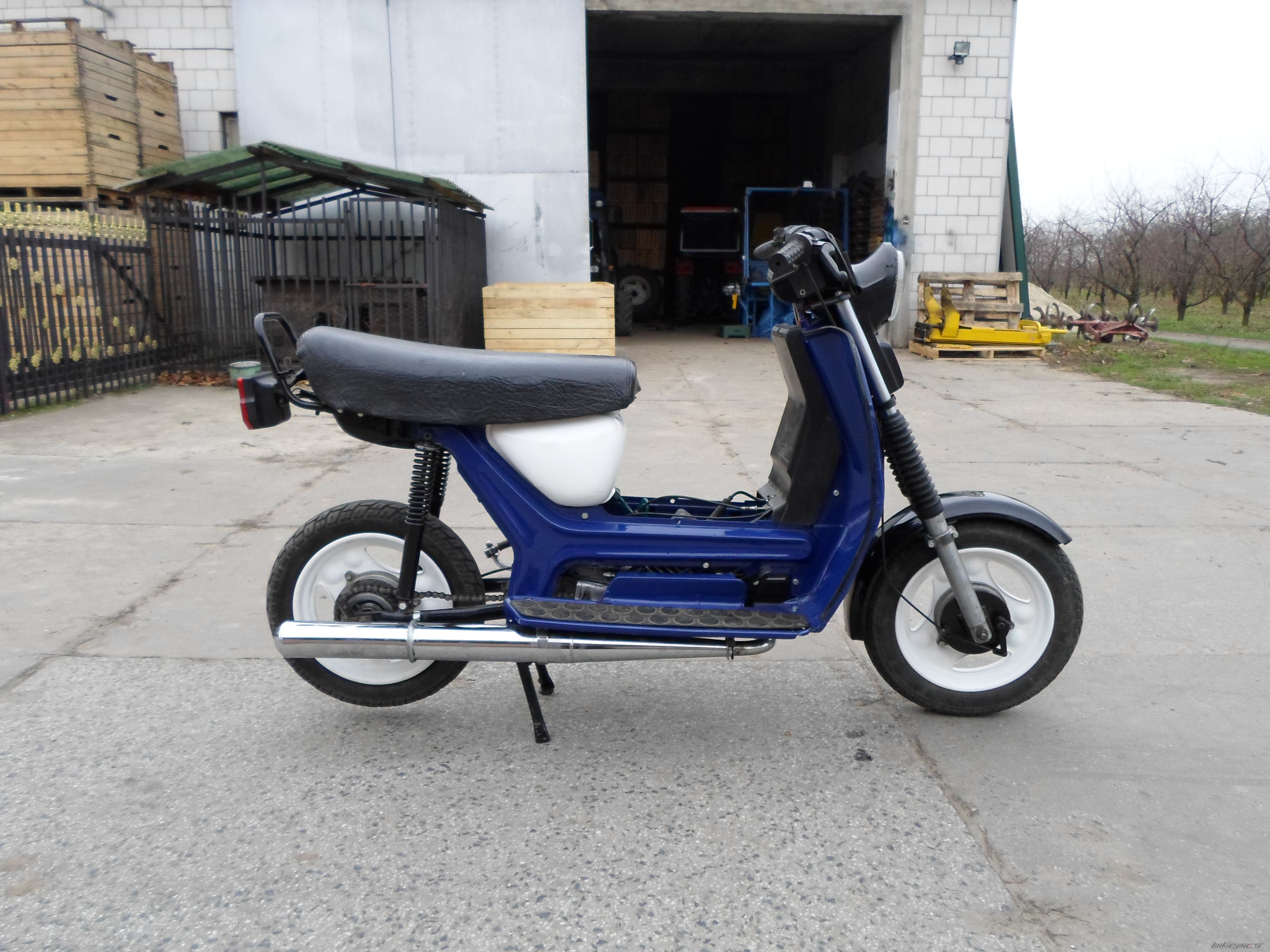    | Picture 2612211 motorcycle photo
