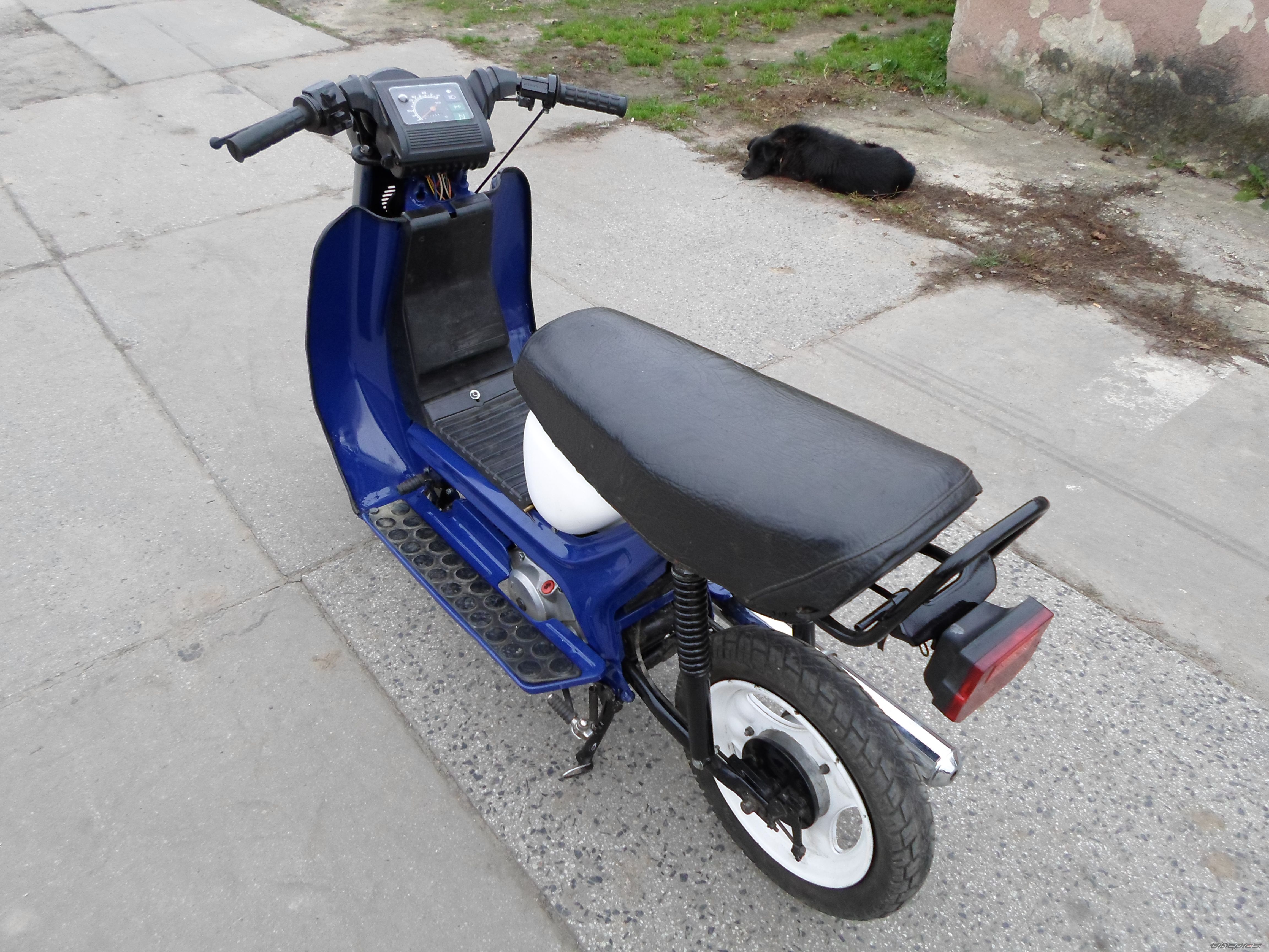    | Picture 2612220 motorcycle photo
