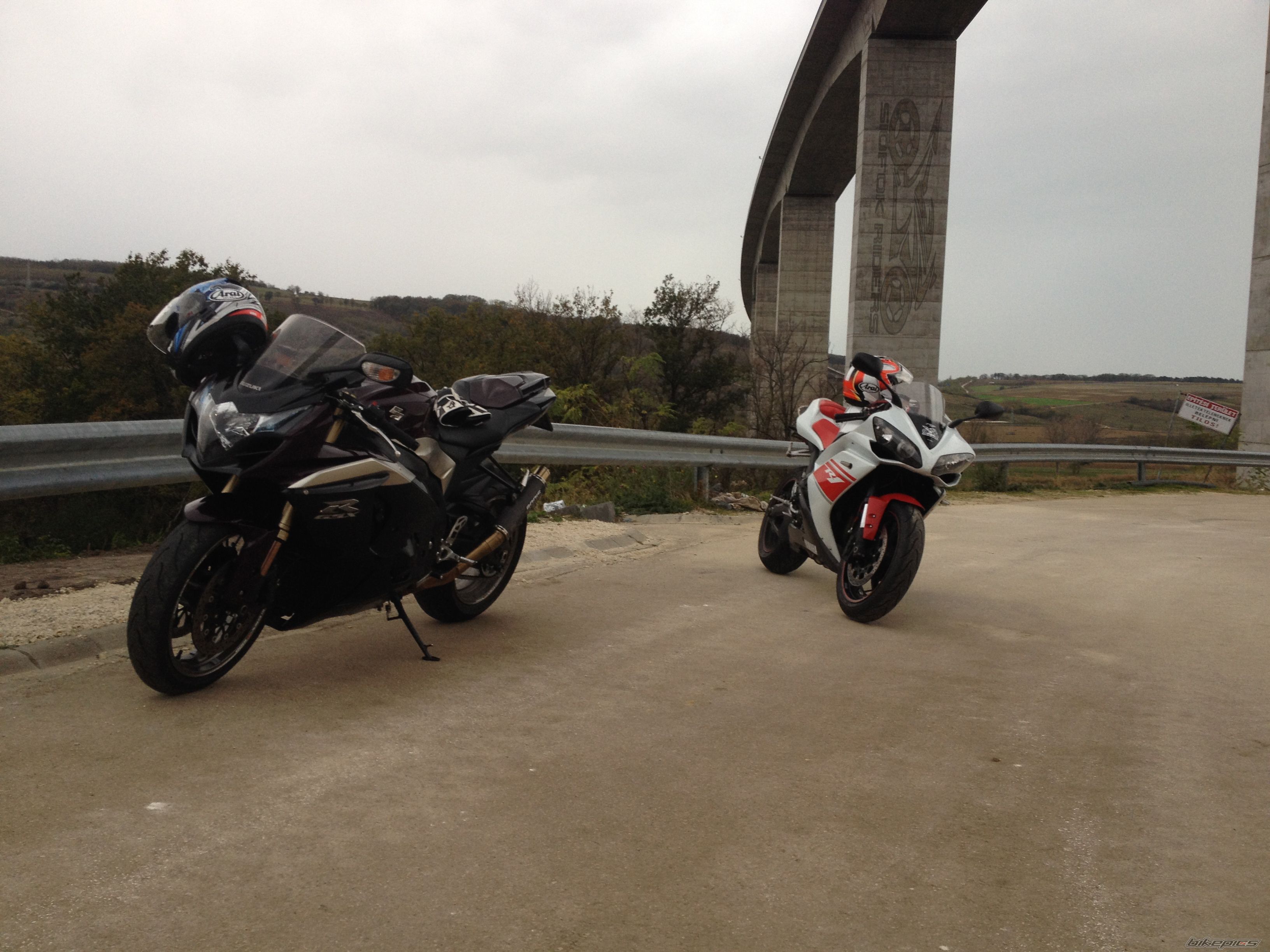 2009 SUZUKI GSX R 1000 | Picture 2612556 motorcycle photo