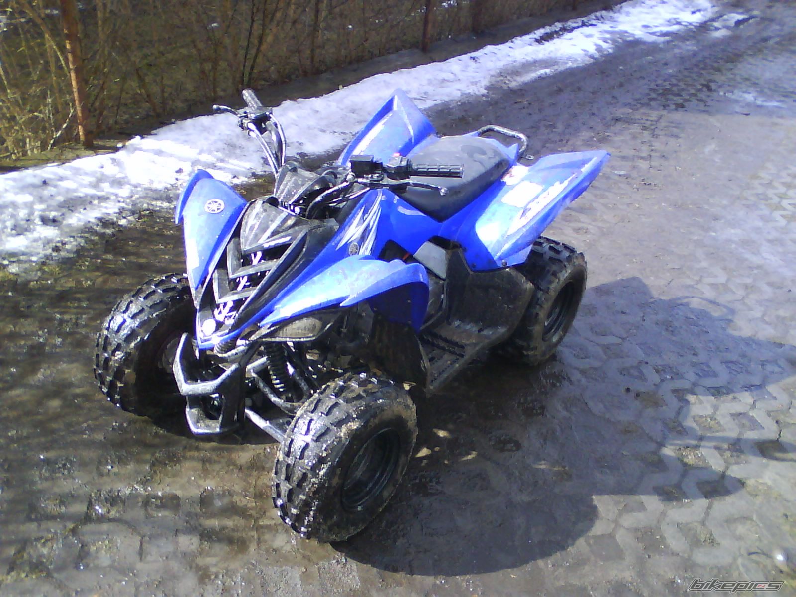 2009 YAMAHA RAPTOR YFM 80 | Picture 2612576 motorcycle photo
