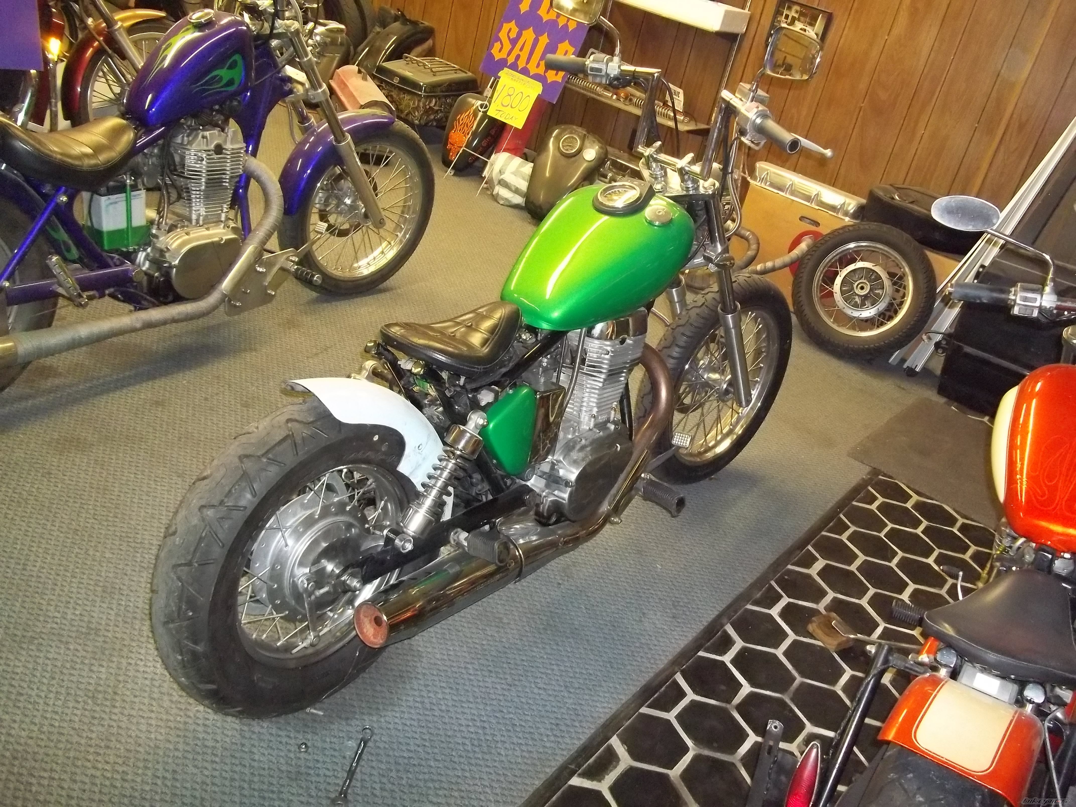 2000 SUZUKI SAVAGE | Picture 2612990 motorcycle photo