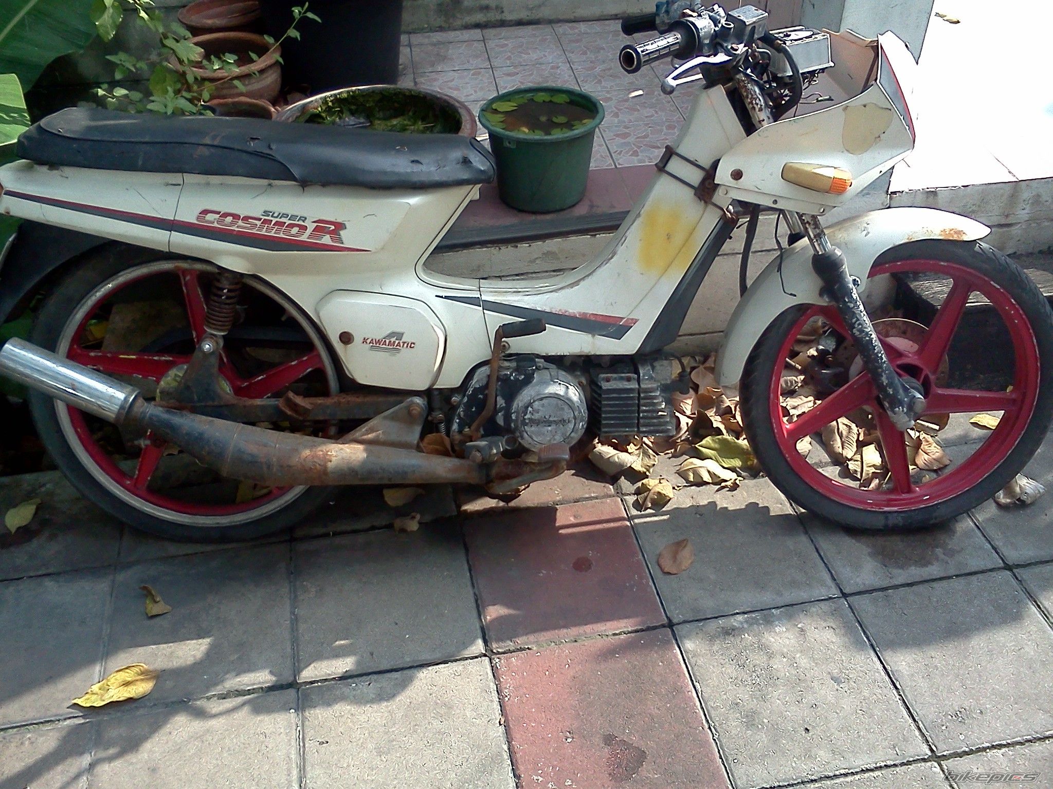 1995 KAWASAKI COSMO 105R | Picture 2614096 motorcycle photo