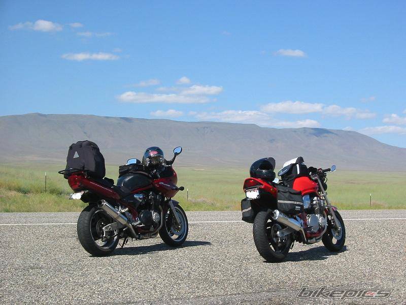 1996 SUZUKI BANDIT 600 | Picture 261506 motorcycle photo