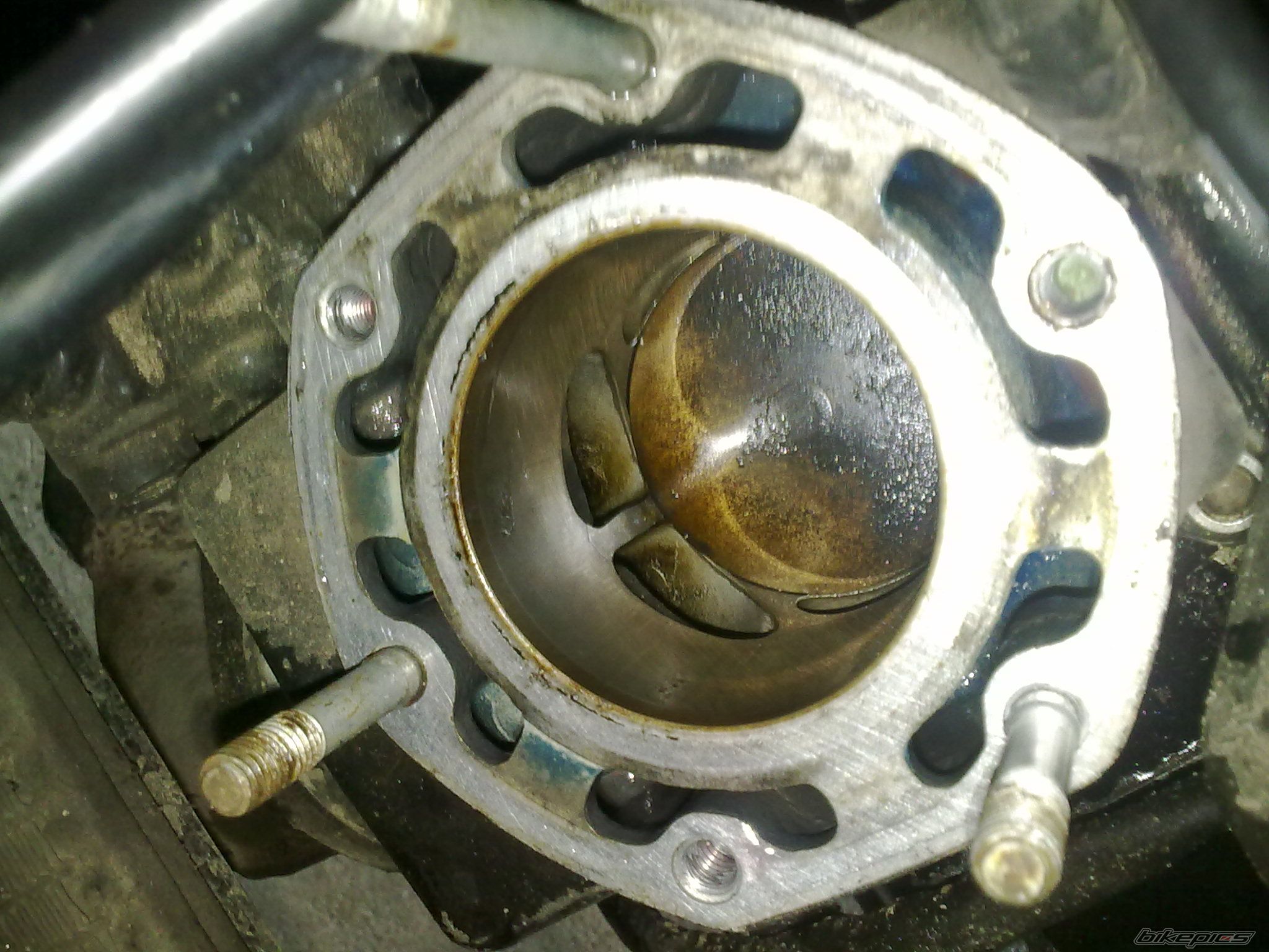   | Picture 2618499 motorcycle photo
