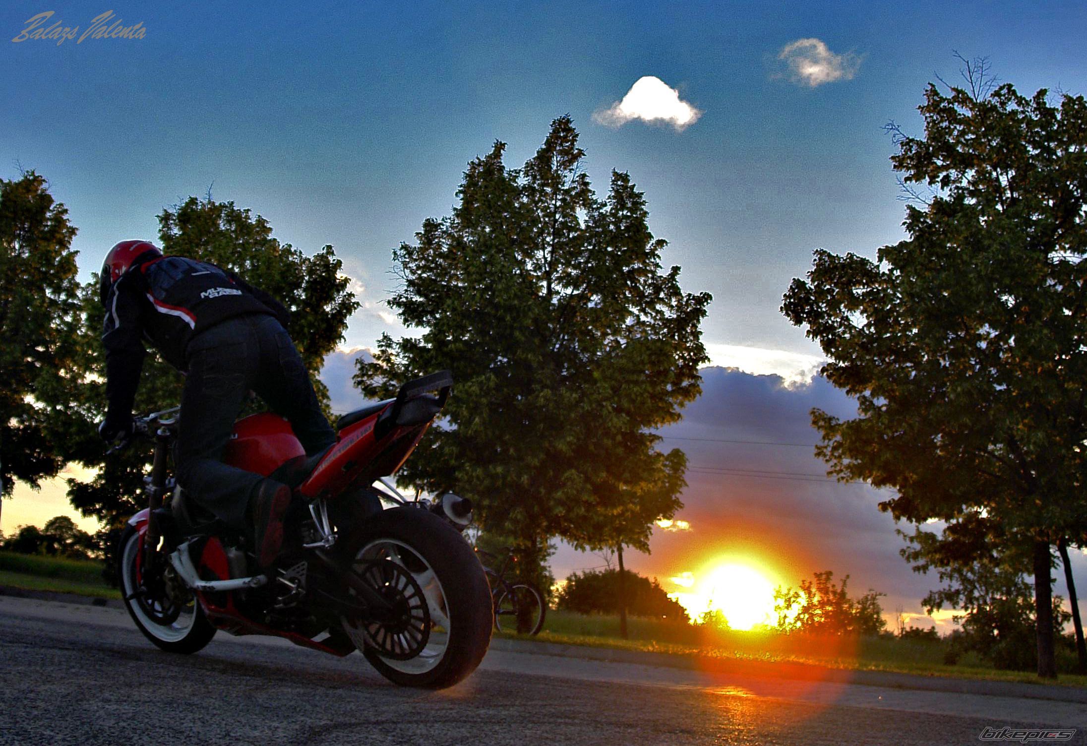 2004 YAMAHA YZF R6S | Picture 2618735 motorcycle photo