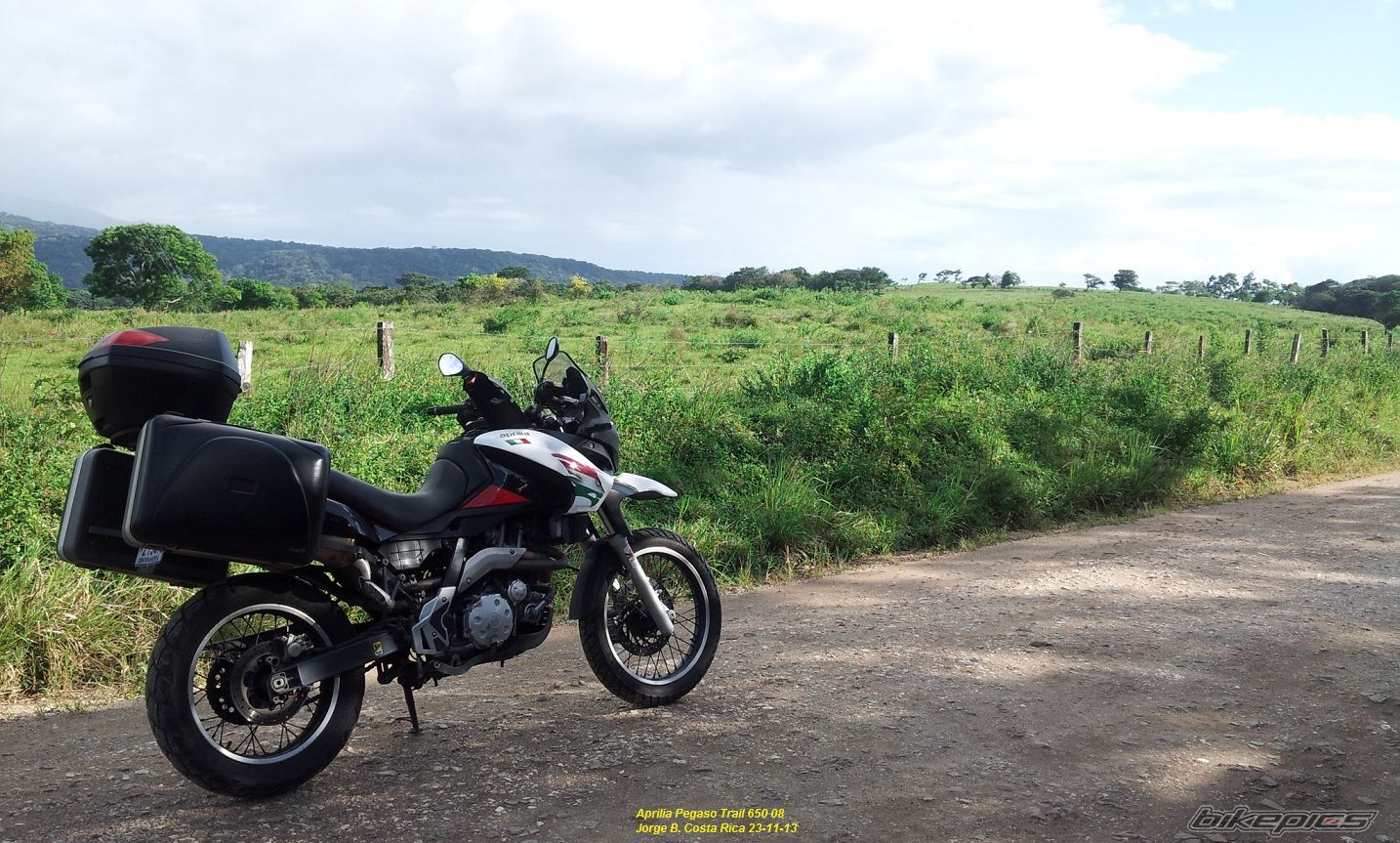 2008 APRILIA PEGASO TRAIL 650 | Picture 2618926 motorcycle photo