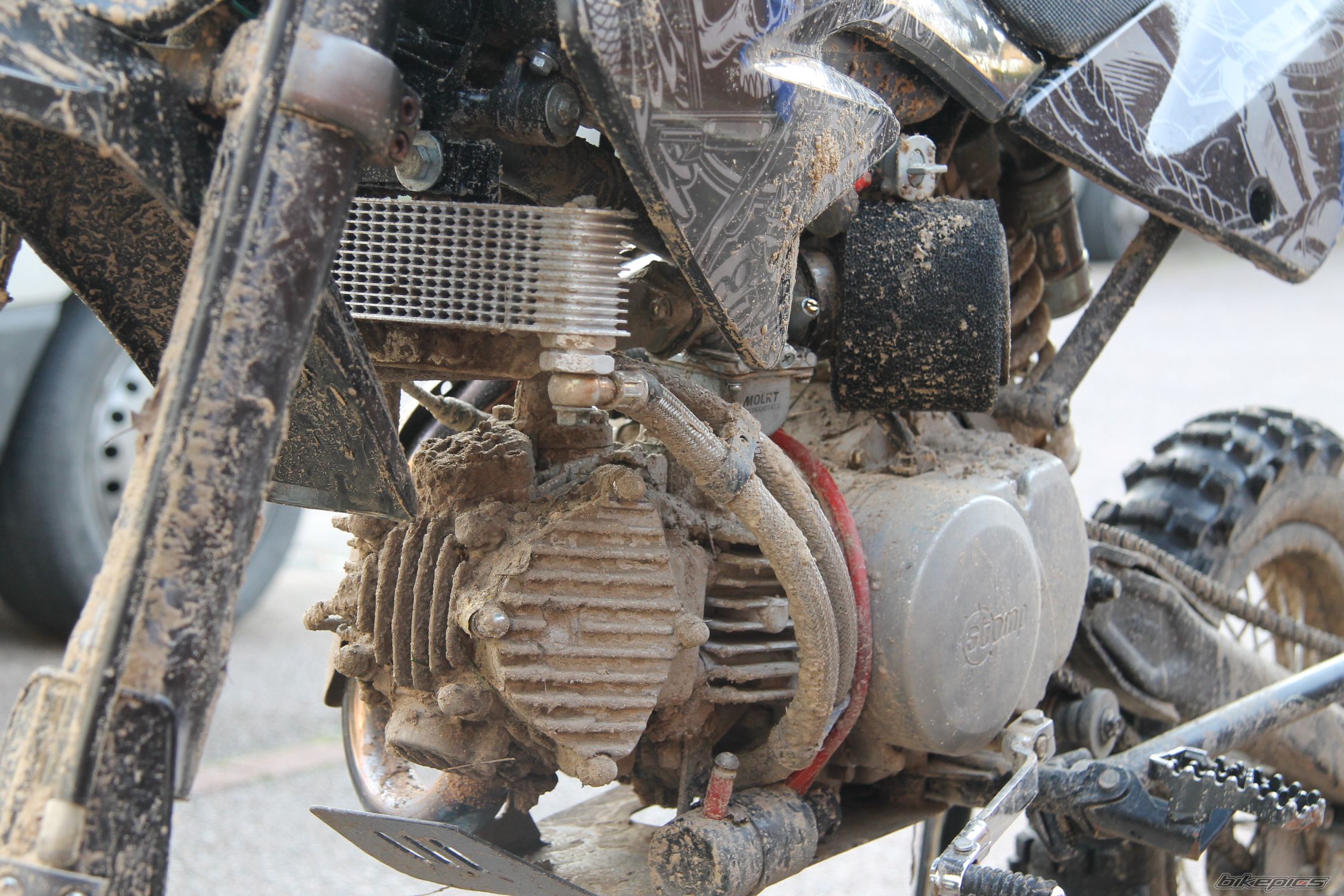 2012 HONDA CRF 70 | Picture 2619005 motorcycle photo