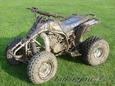 1998 YAMAHA BLASTER | Picture 261918 motorcycle photo