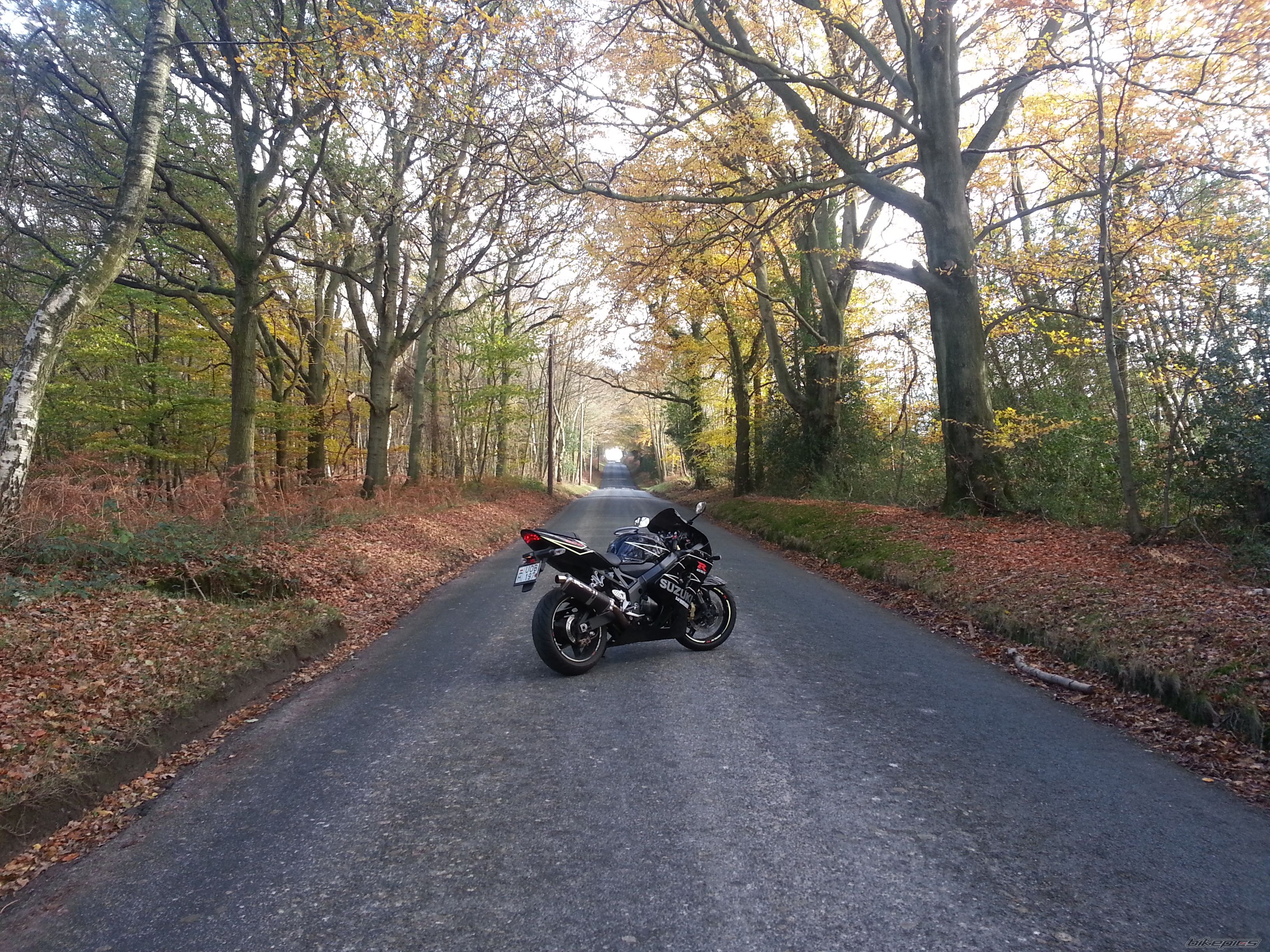 2004 SUZUKI GSX R 600 | Picture 2619462 motorcycle photo