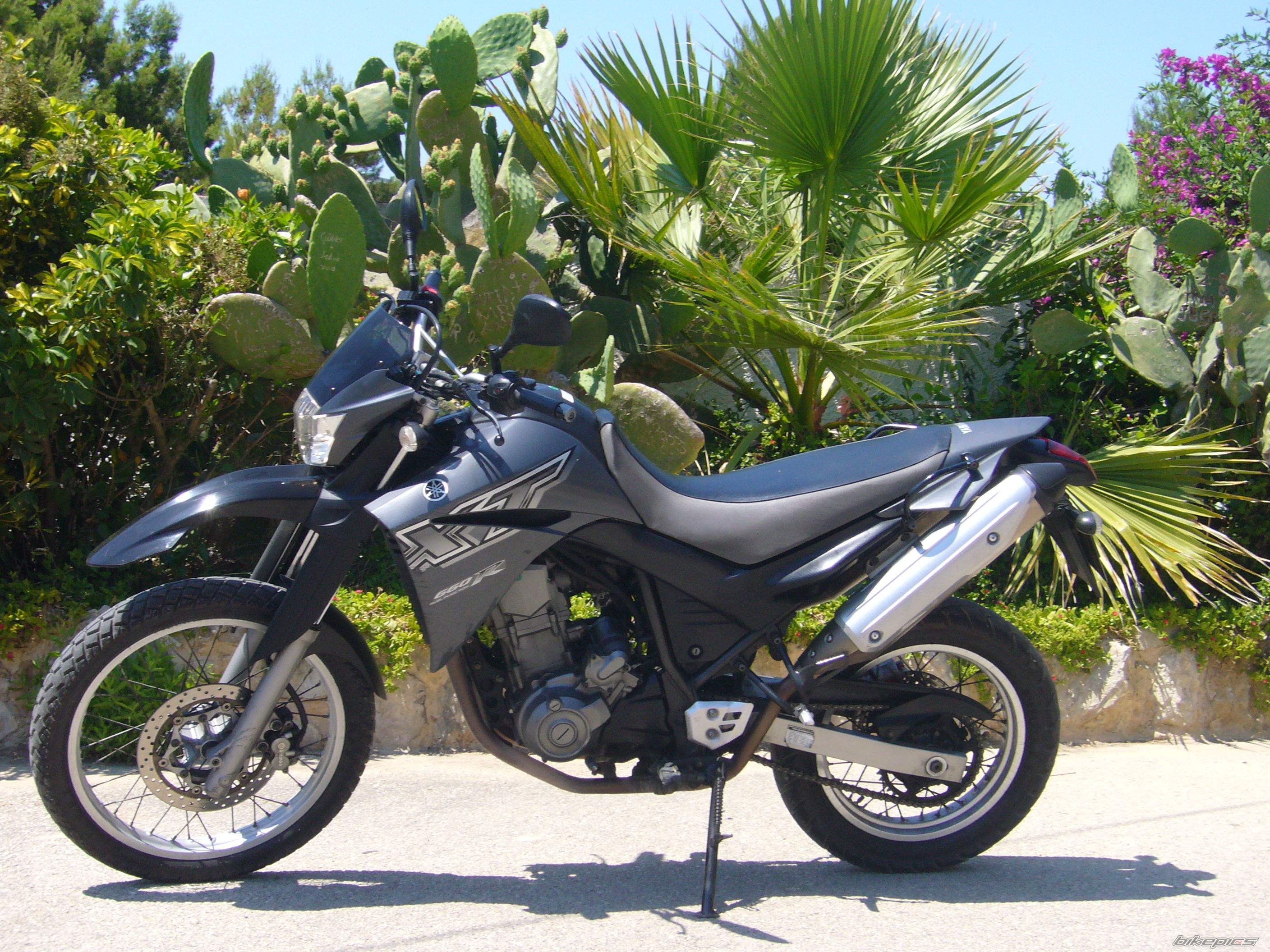 2009 YAMAHA XT 660 | Picture 2621239 motorcycle photo