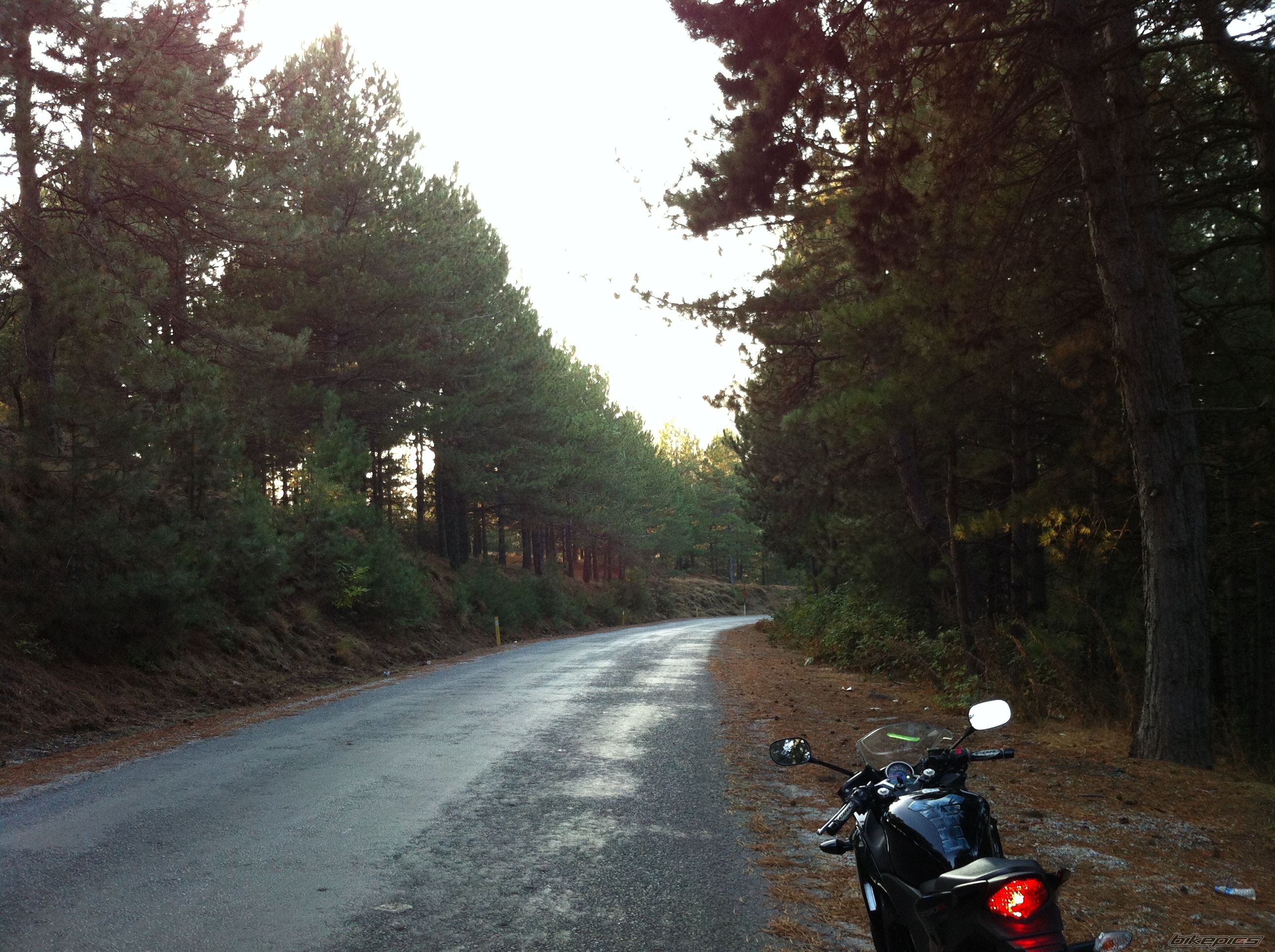 2012 HONDA CBR 250 | Picture 2621292 motorcycle photo