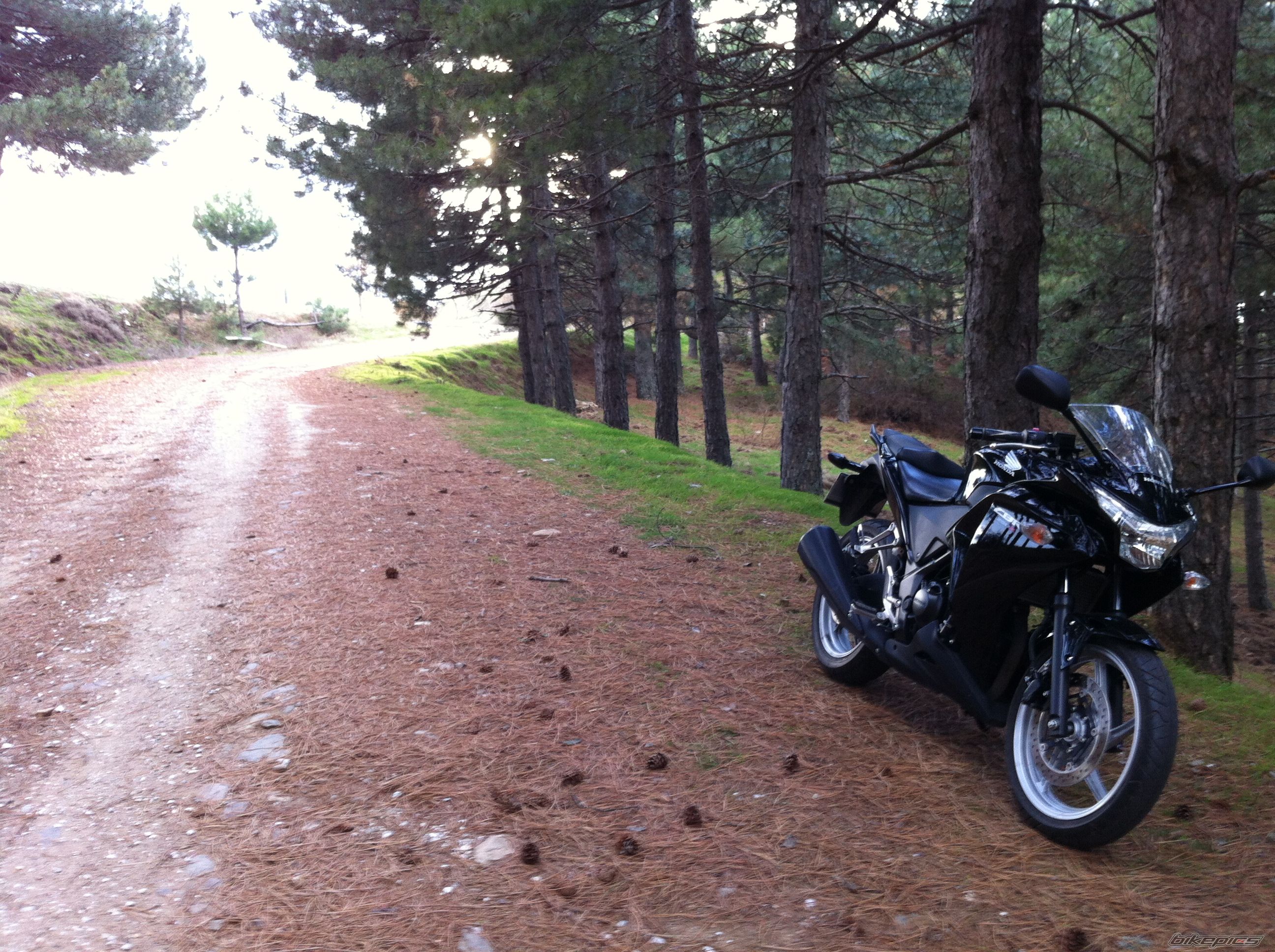 2012 HONDA CBR 250 | Picture 2621293 motorcycle photo