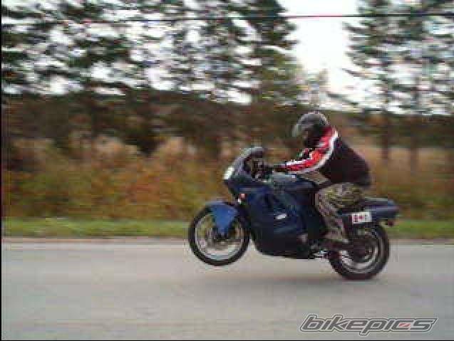 1987 HONDA CBR 600 | Picture 262274 motorcycle photo