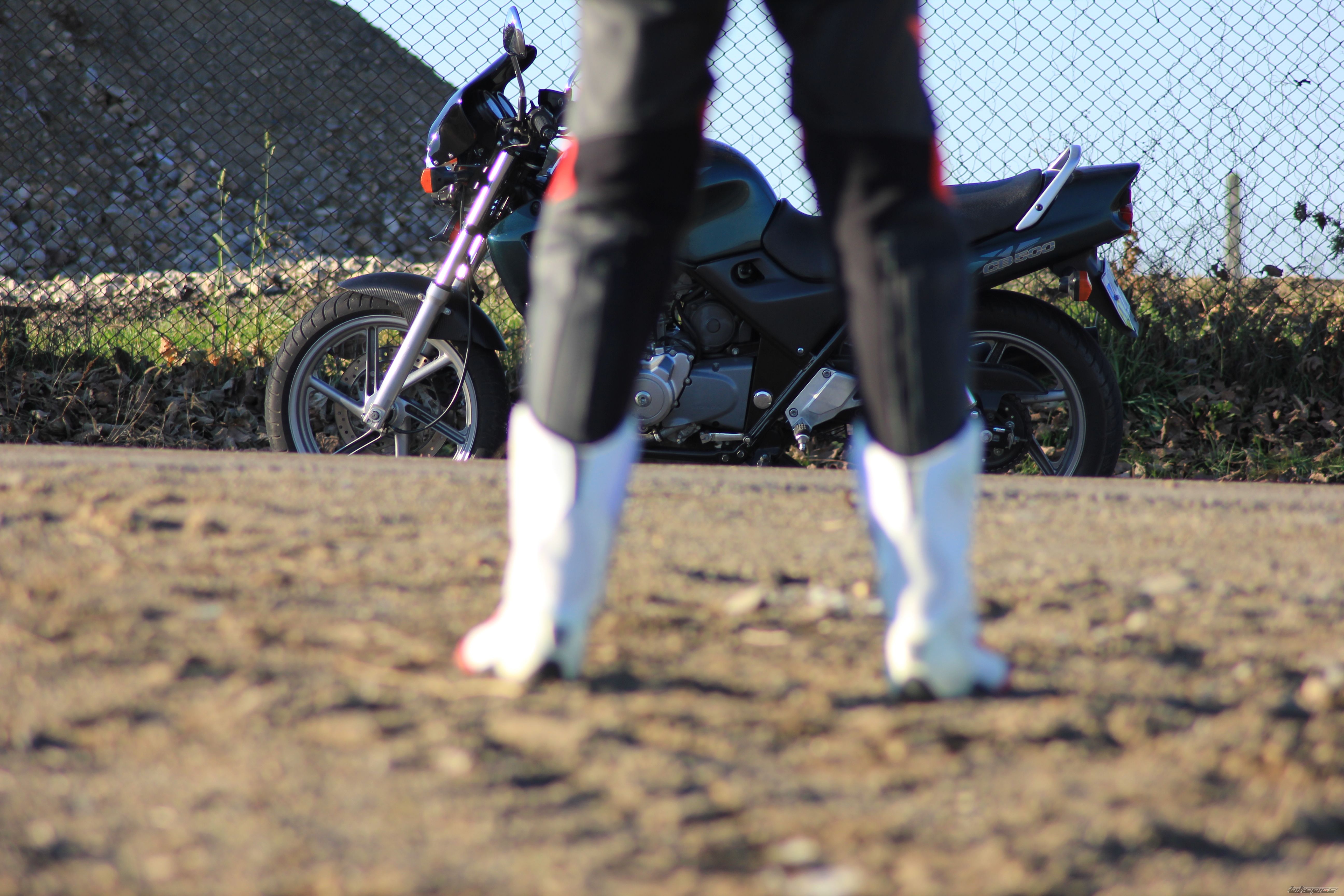 1995 HONDA CB 500 | Picture 2622939 motorcycle photo