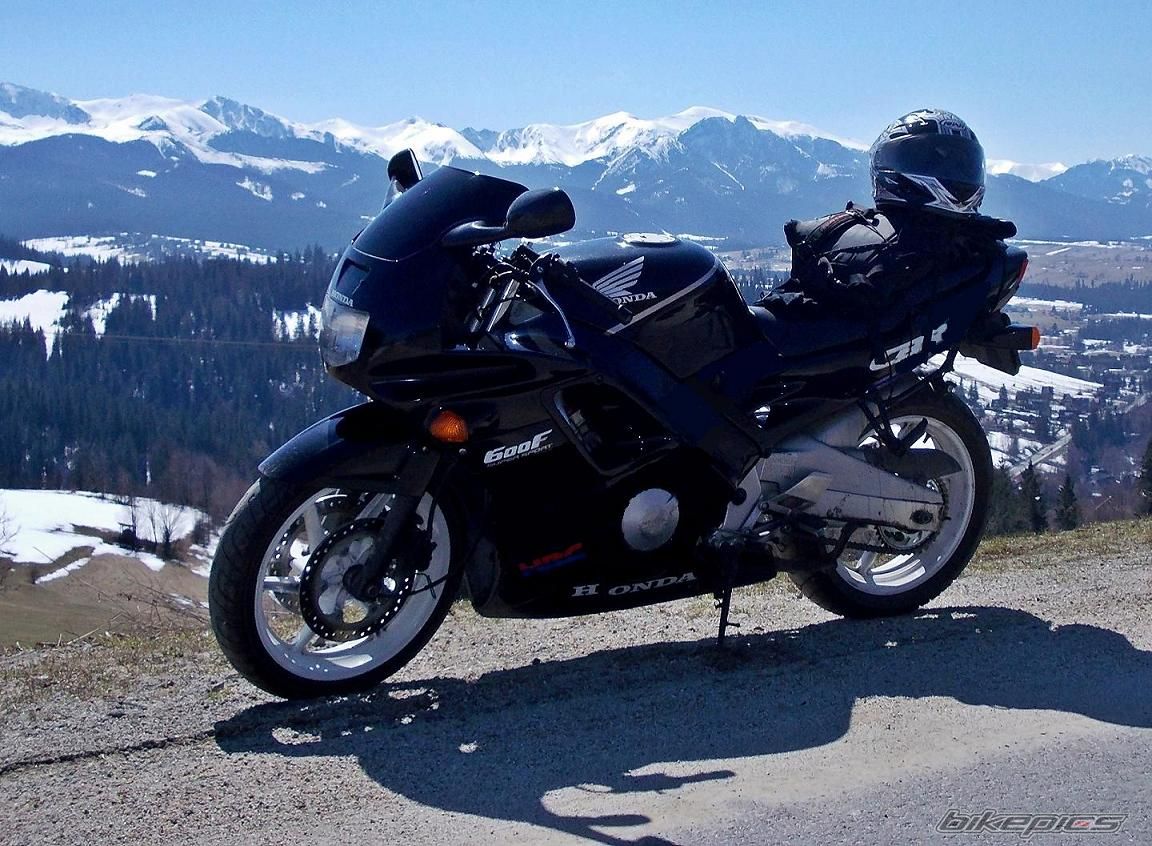 1991 HONDA CBR 600 | Picture 2623484 motorcycle photo