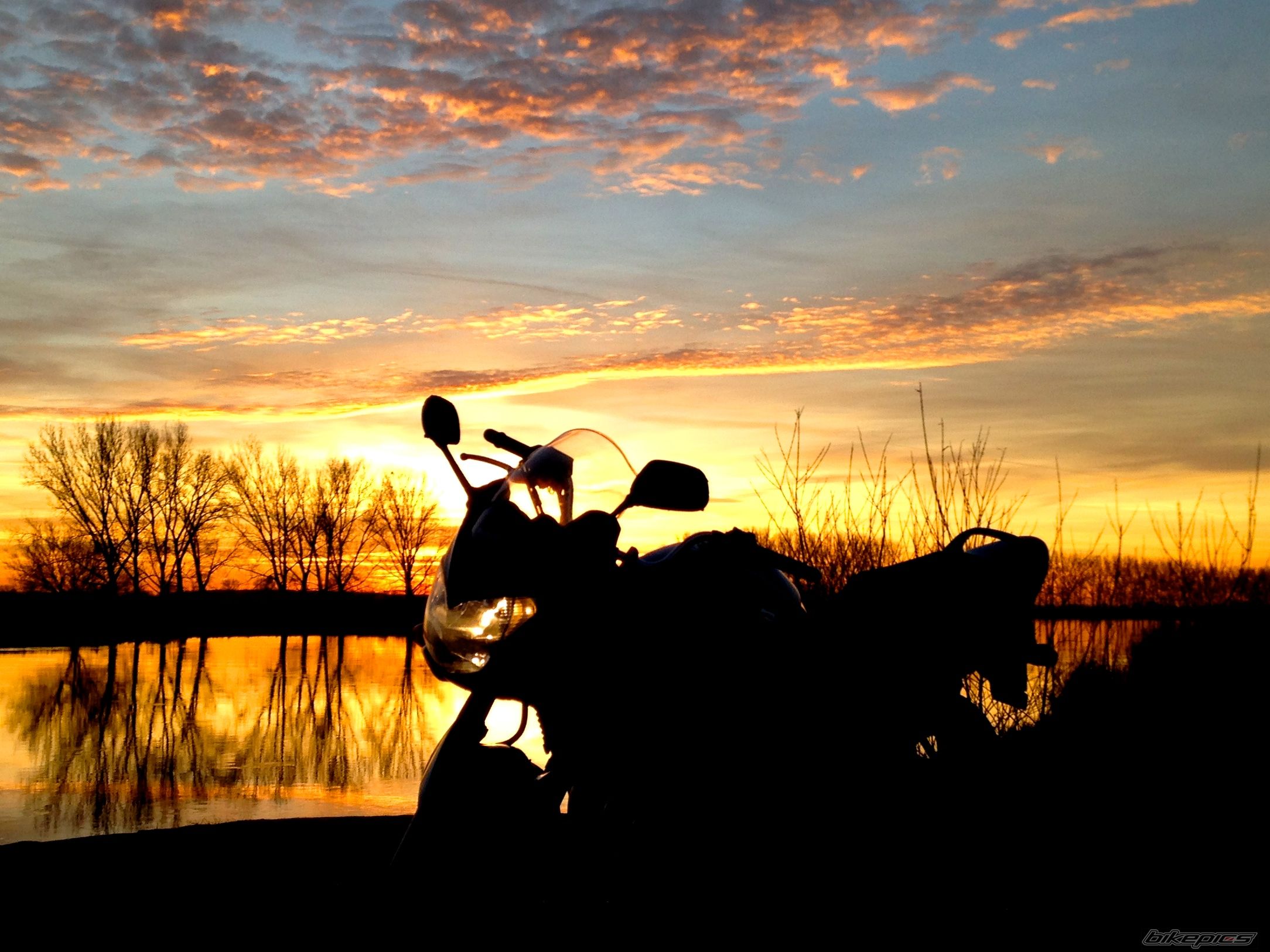 2005 SUZUKI BANDIT 650S | Picture 2624107 motorcycle photo