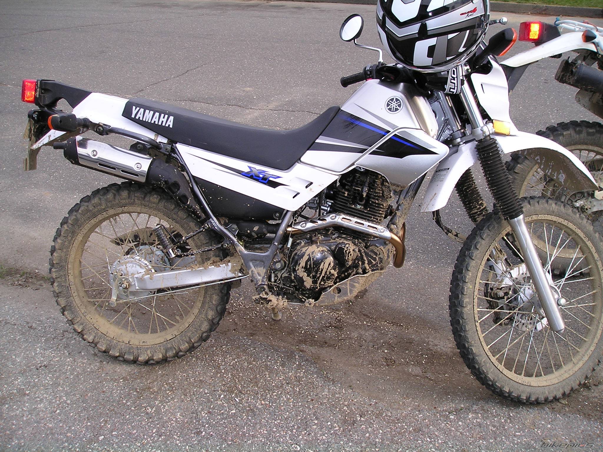 2004 YAMAHA XT 225 | Picture 262534 motorcycle photo