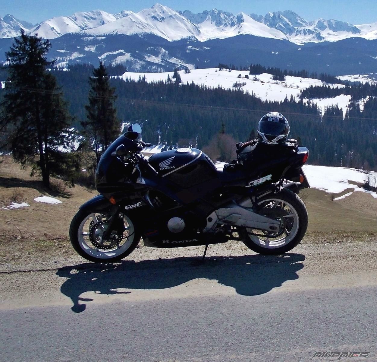 1991 HONDA CBR 600 | Picture 2625461 motorcycle photo