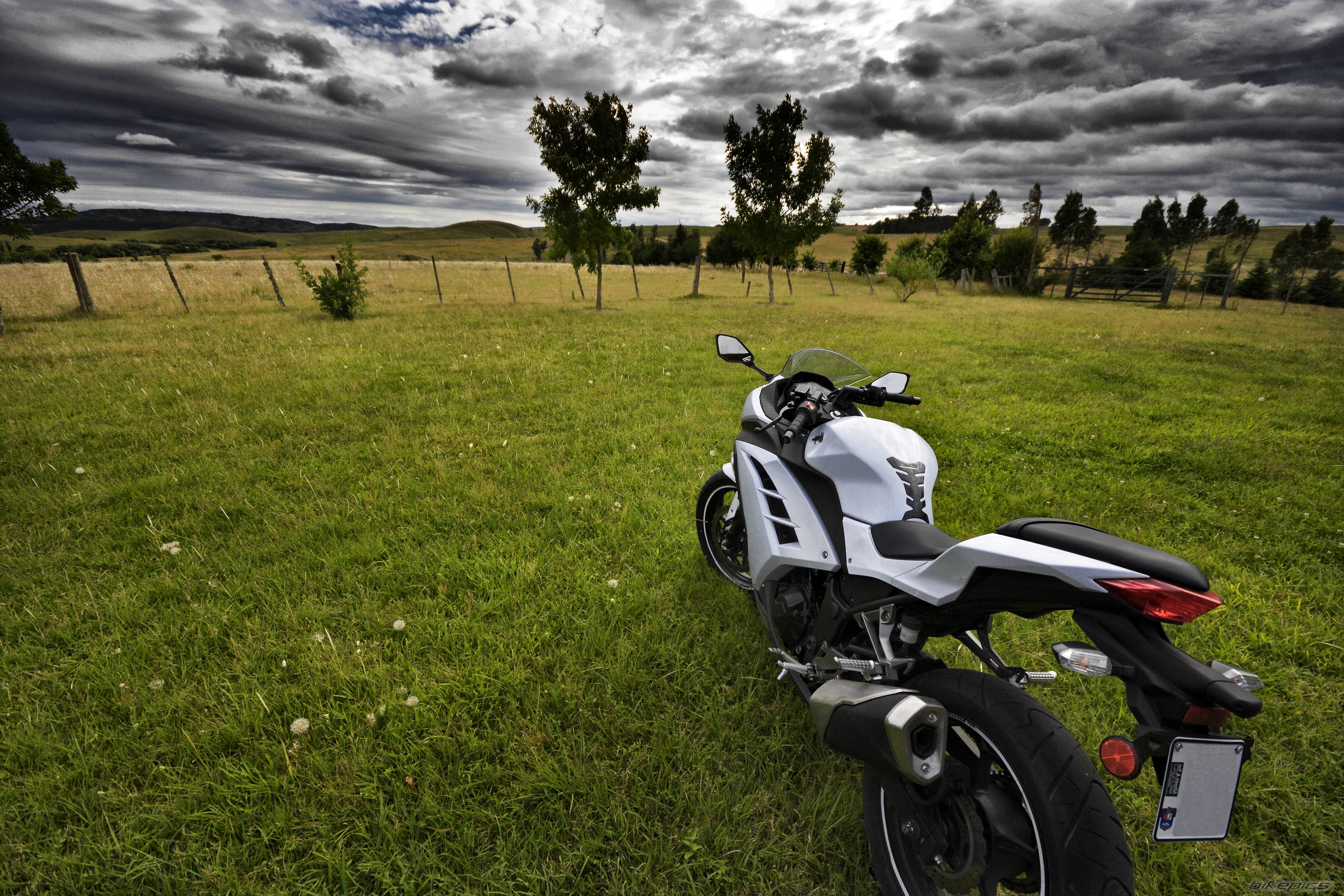2013 KAWASAKI NINJA 300 | Picture 2625928 motorcycle photo